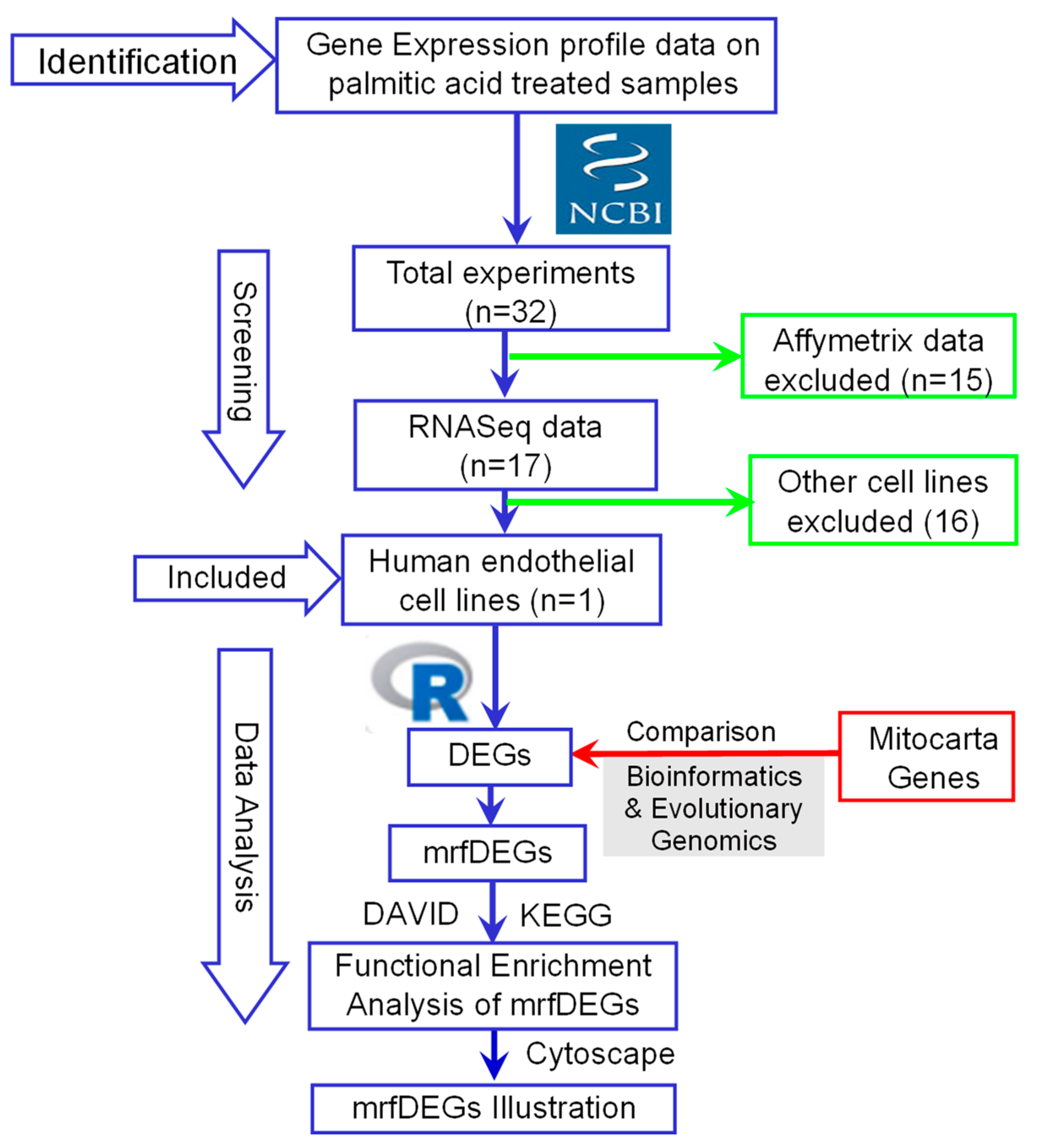 Genes 13 01704 g001 Genes 13 01704 g001