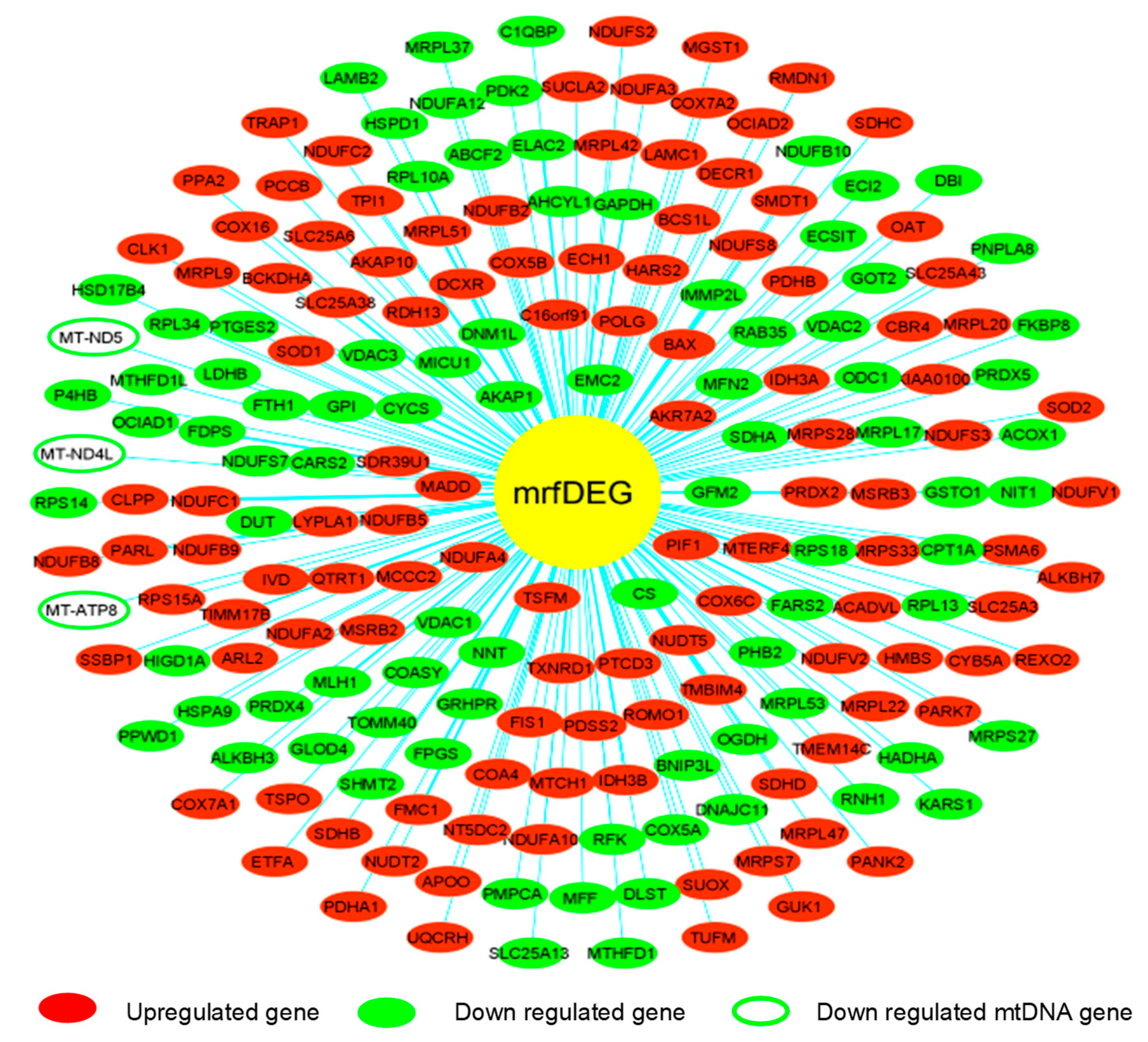 Genes 13 01704 g003 Genes 13 01704 g003