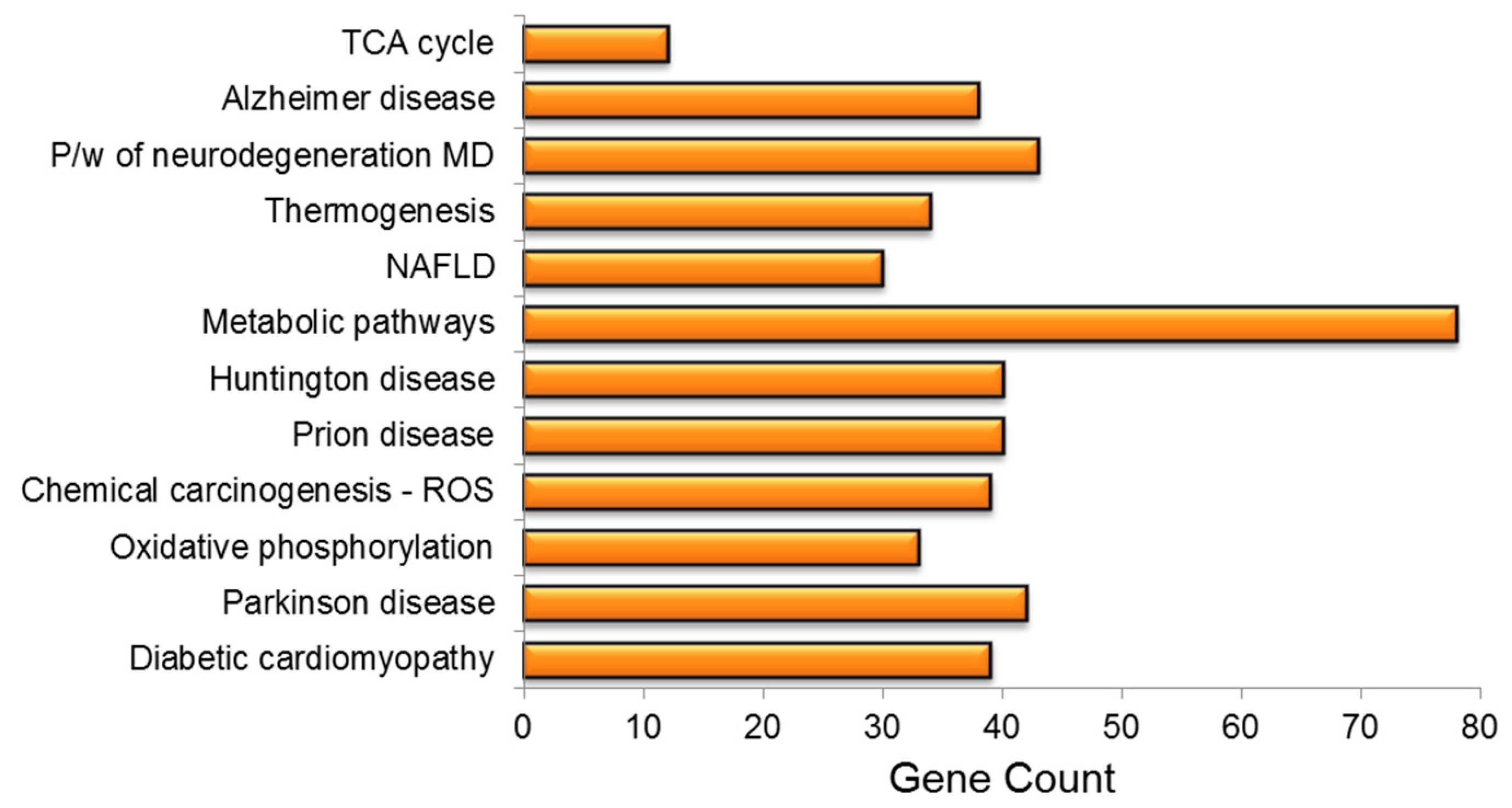 Genes 13 01704 g005 Genes 13 01704 g005