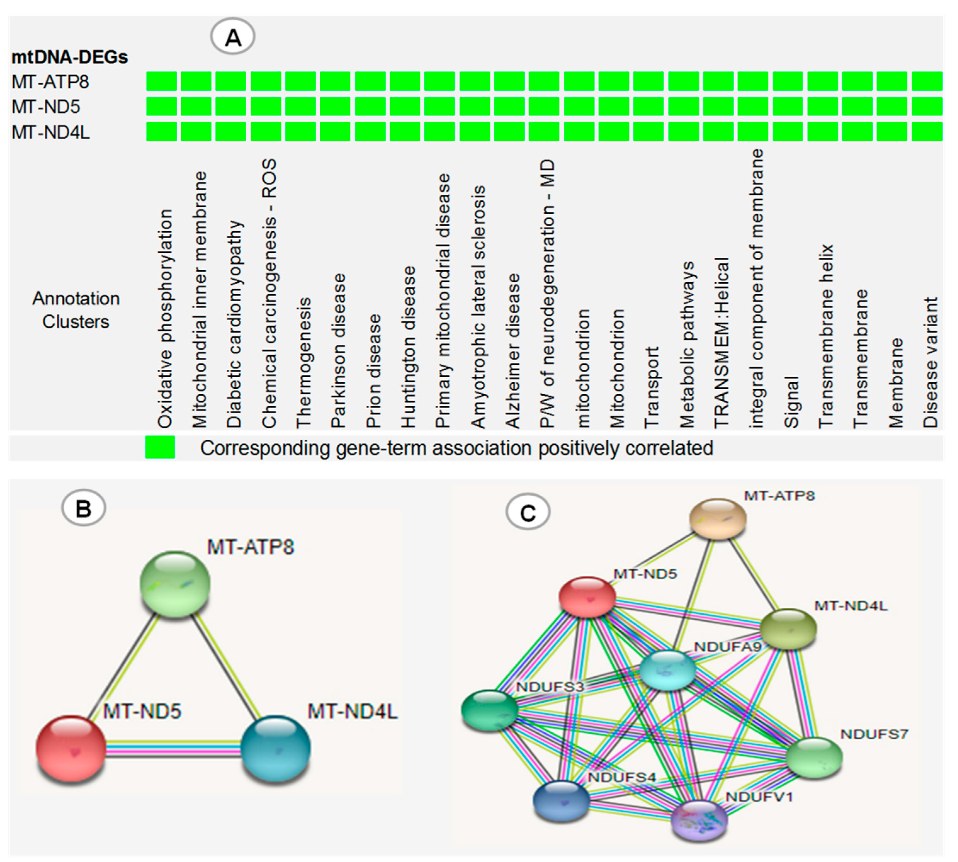 Genes 13 01704 g006 Genes 13 01704 g006
