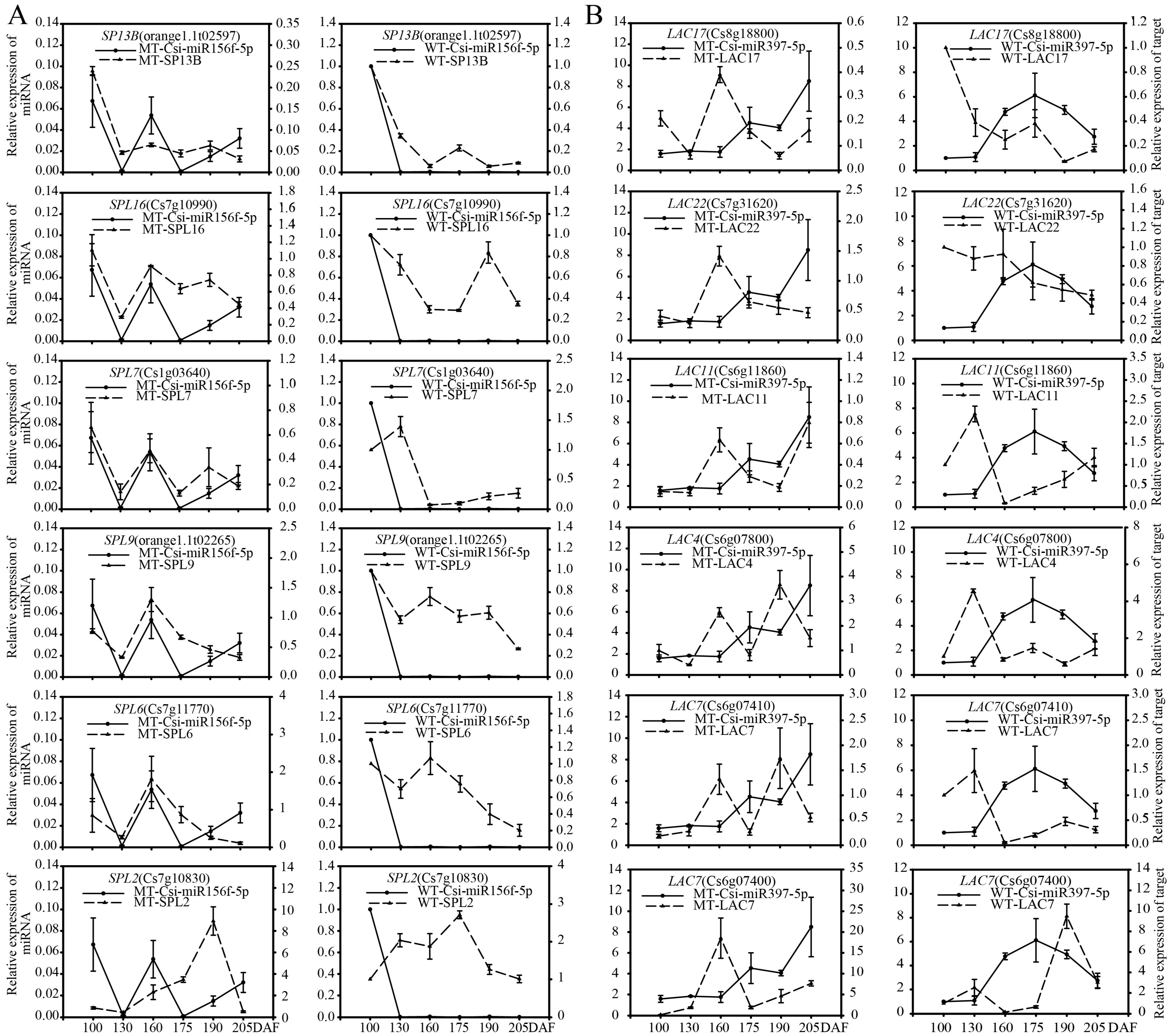 Genes 13 01706 g008a