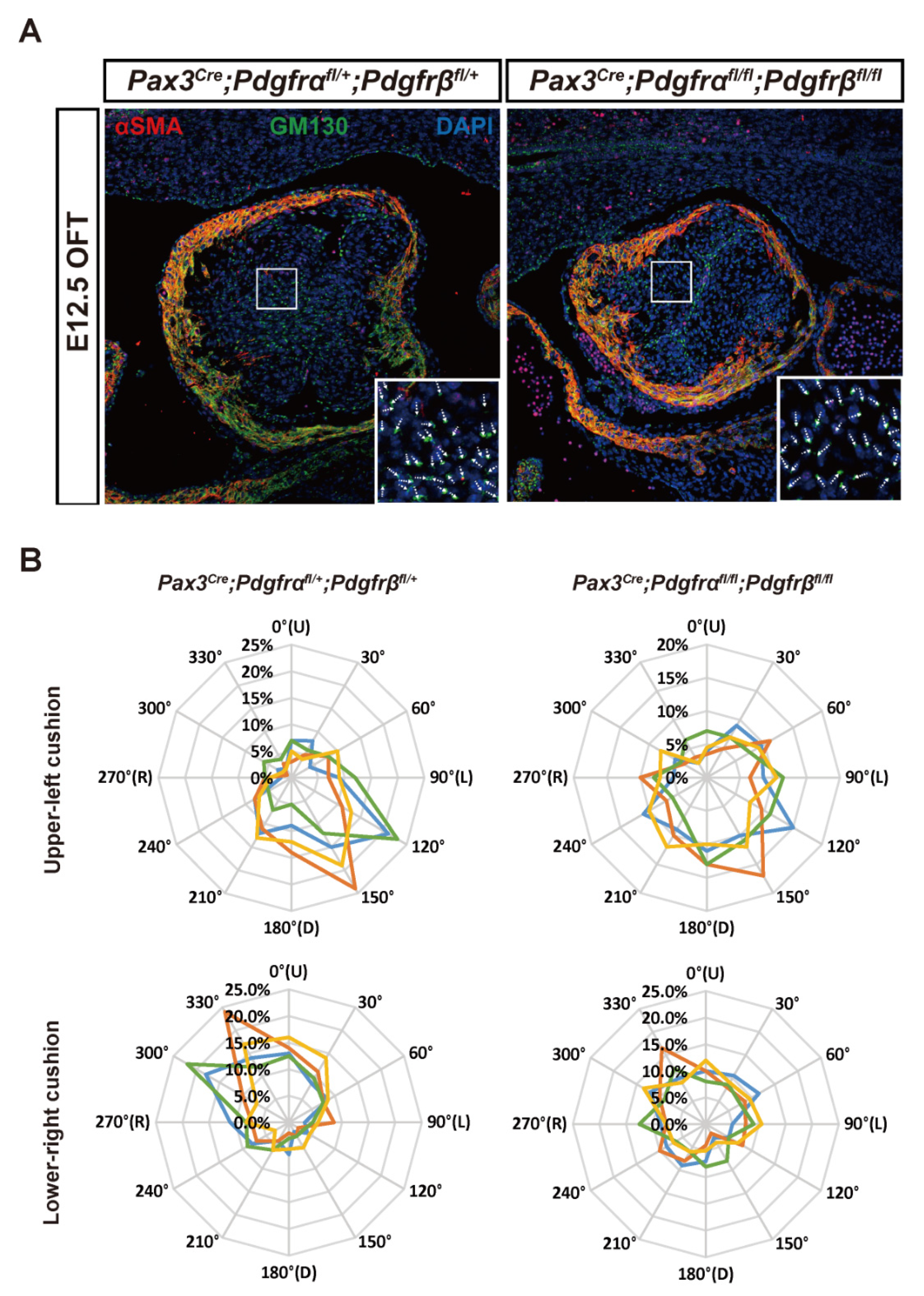 Genes 13 01708 g002 Genes 13 01708 g002