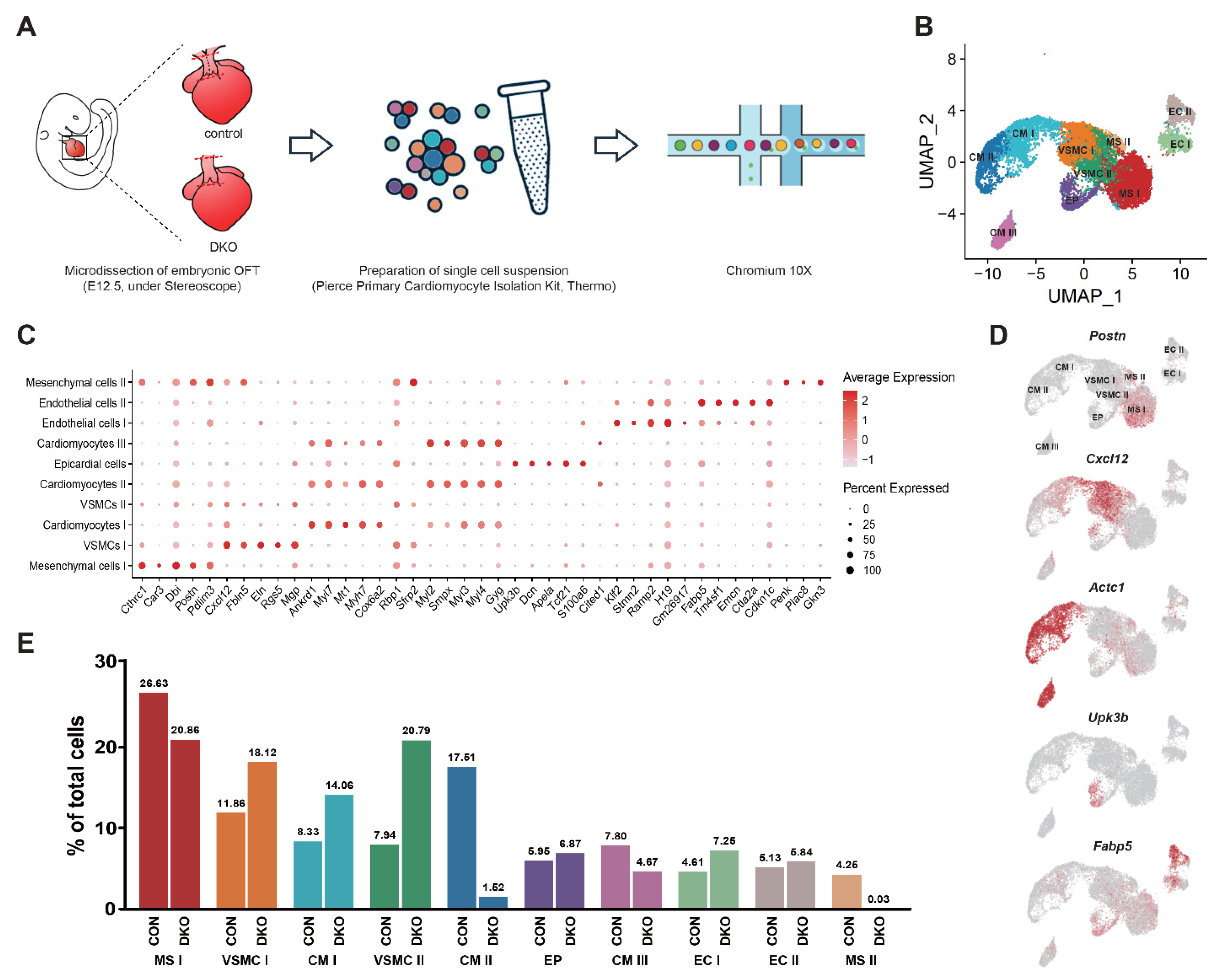 Genes 13 01708 g003 Genes 13 01708 g003