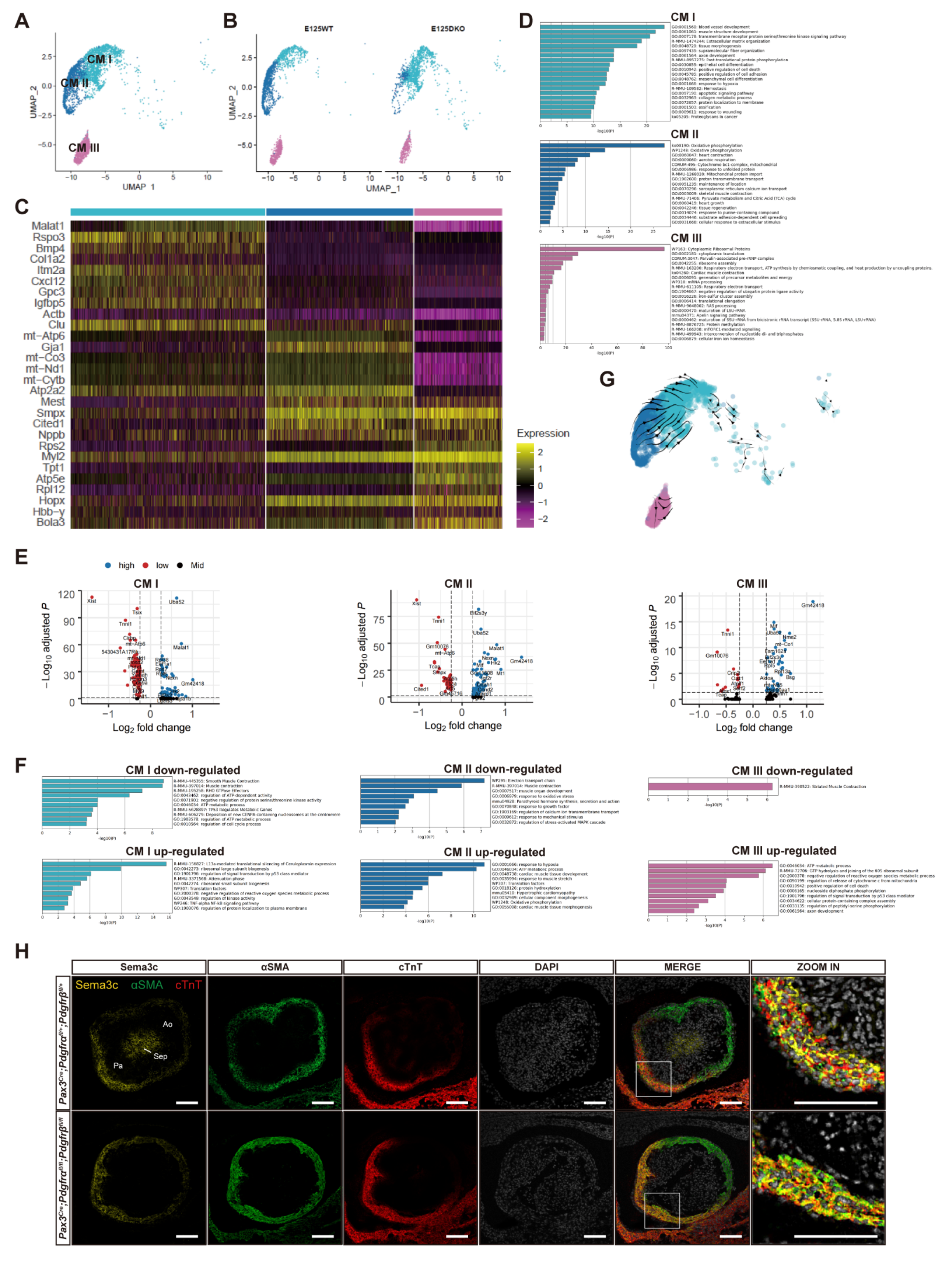 Genes 13 01708 g004 Genes 13 01708 g004