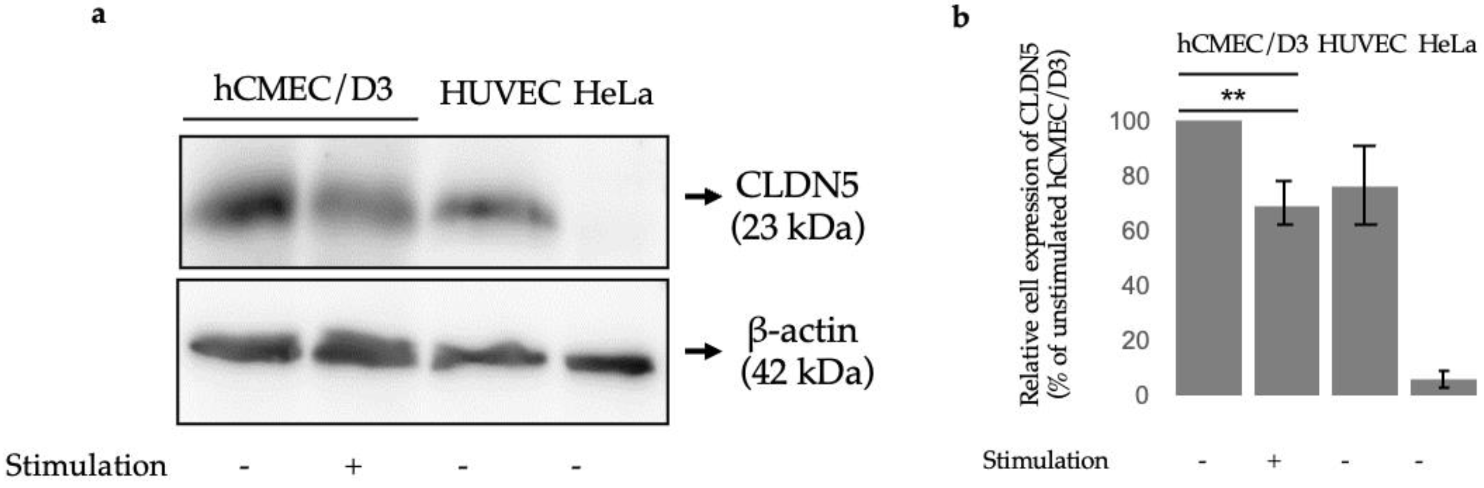 Genes 13 01714 g001 Genes 13 01714 g001