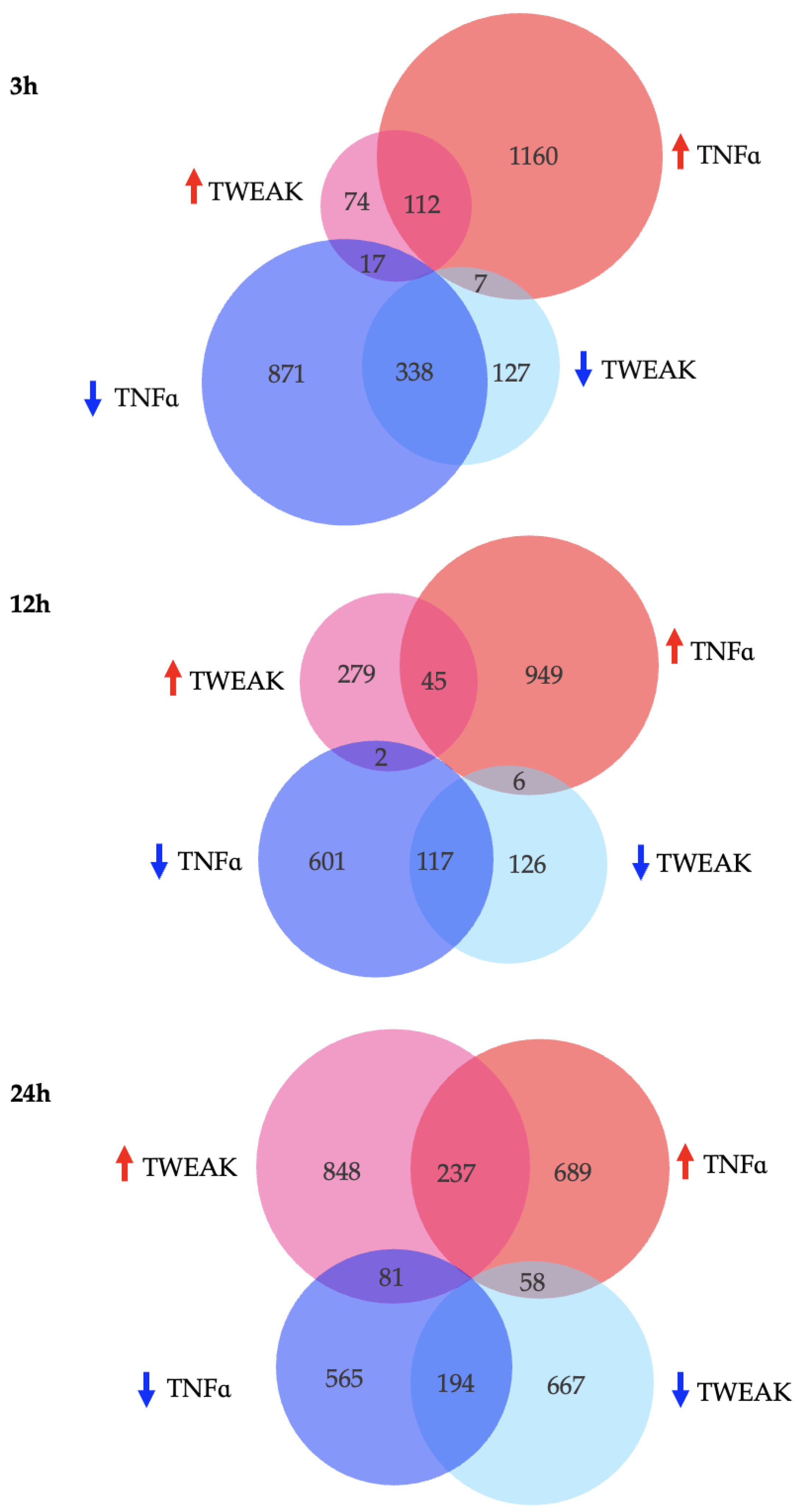 Genes 13 01714 g002 Genes 13 01714 g002
