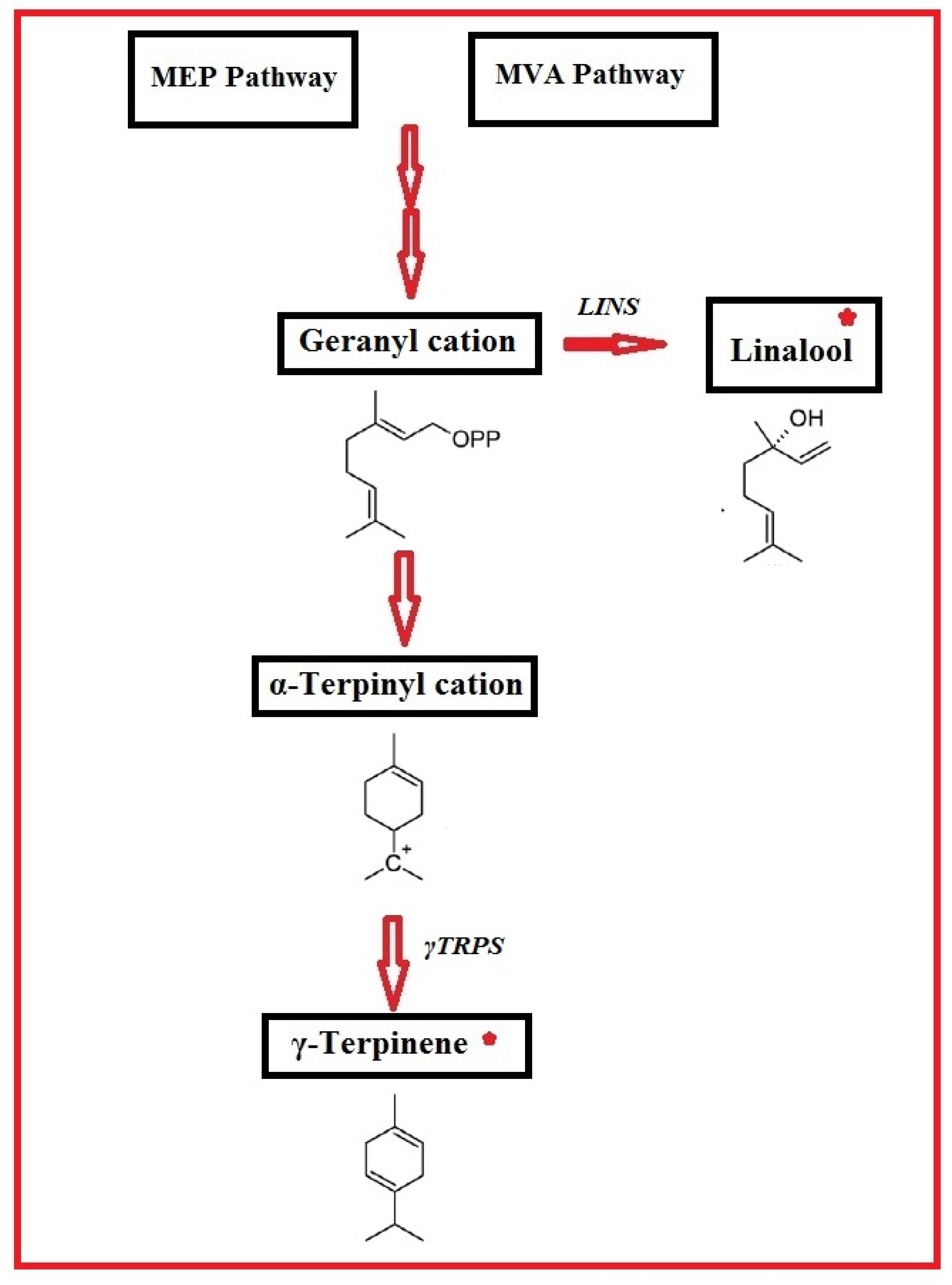 Genes 13 01717 g001 Genes 13 01717 g001