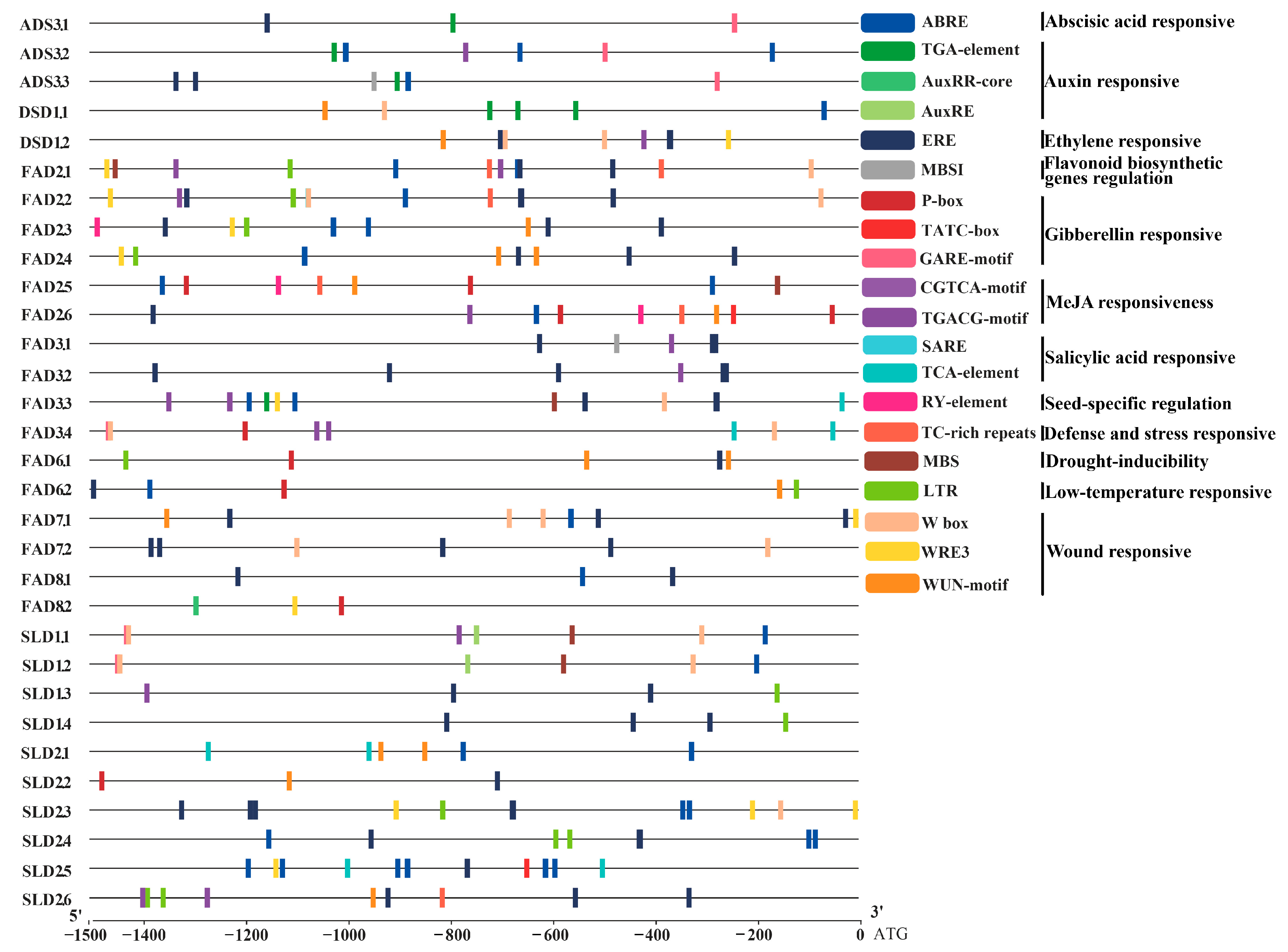 Genes 13 01718 g005 Genes 13 01718 g005