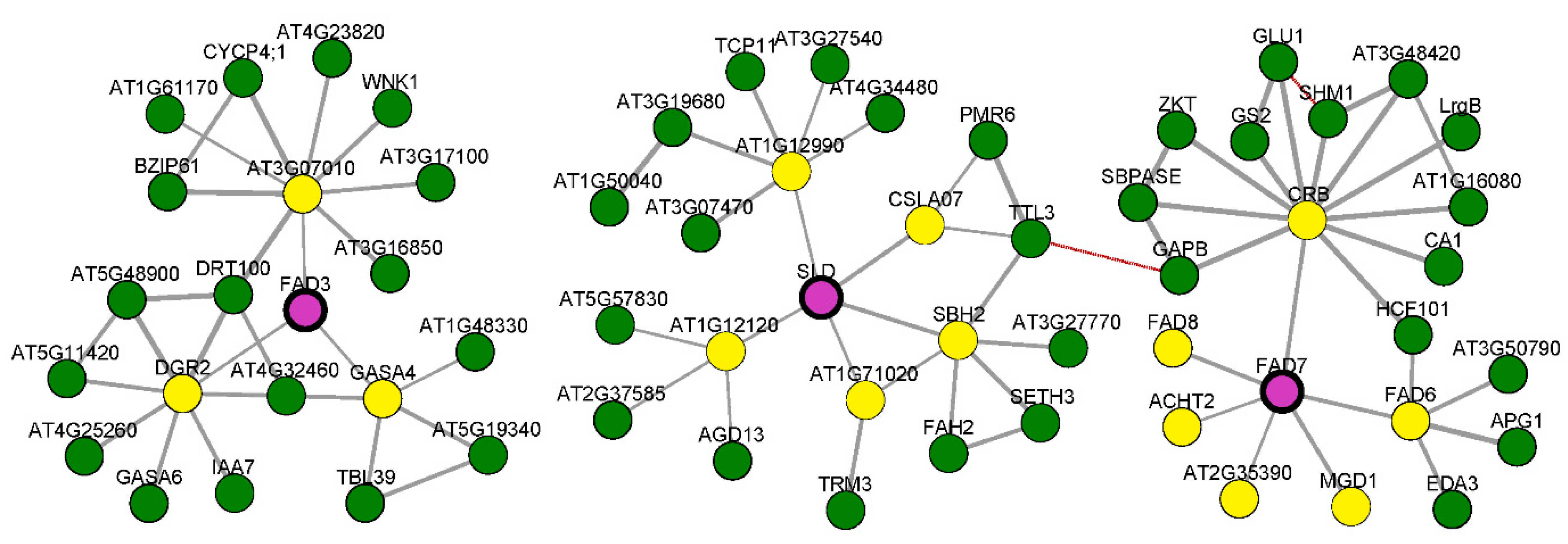 Genes 13 01718 g007 Genes 13 01718 g007