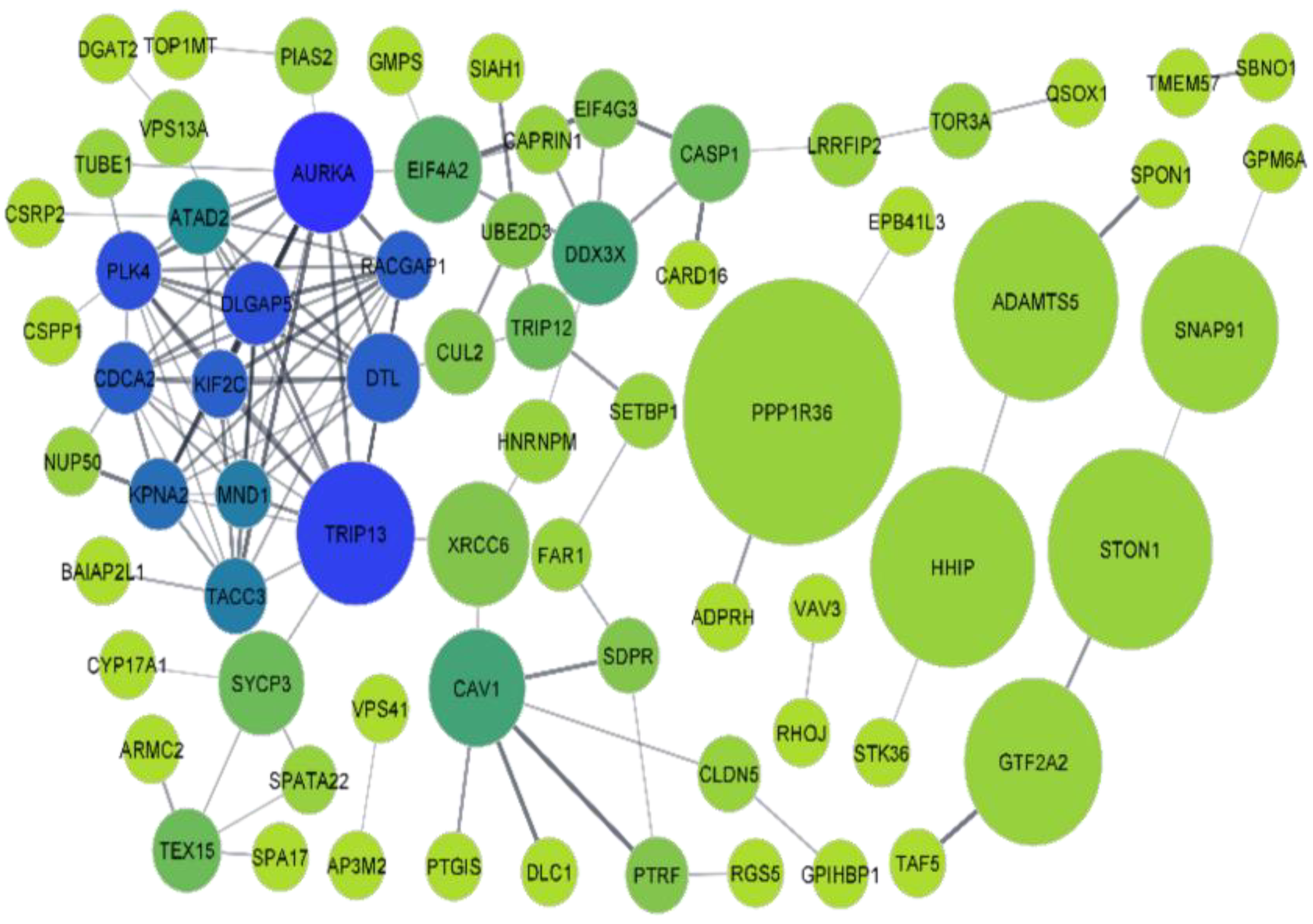 Genes 13 01721 g008 Genes 13 01721 g008