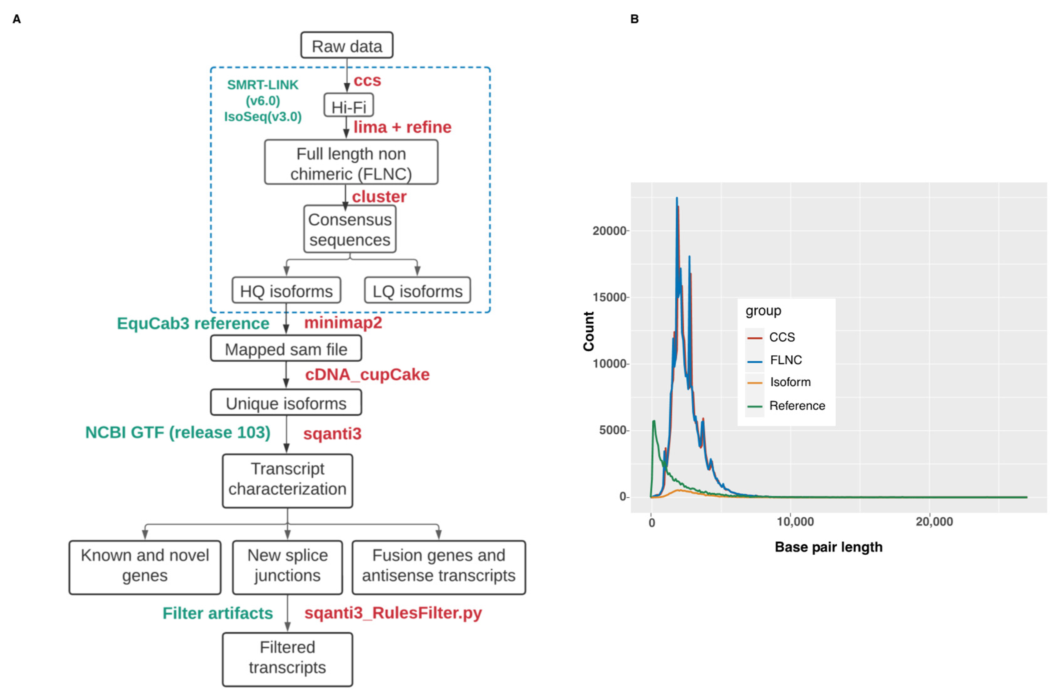 Genes 13 01722 g001 Genes 13 01722 g001