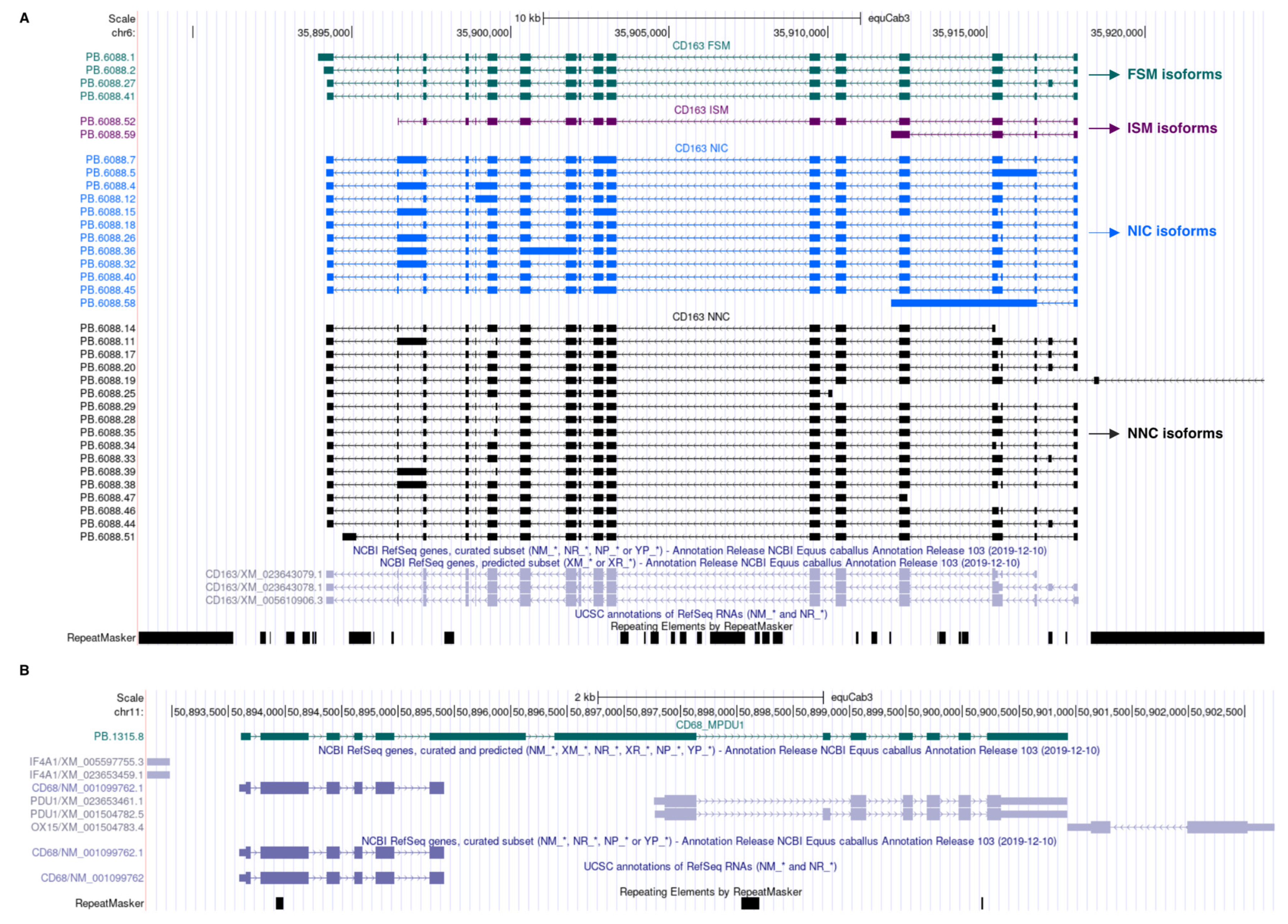 Genes 13 01722 g002 Genes 13 01722 g002