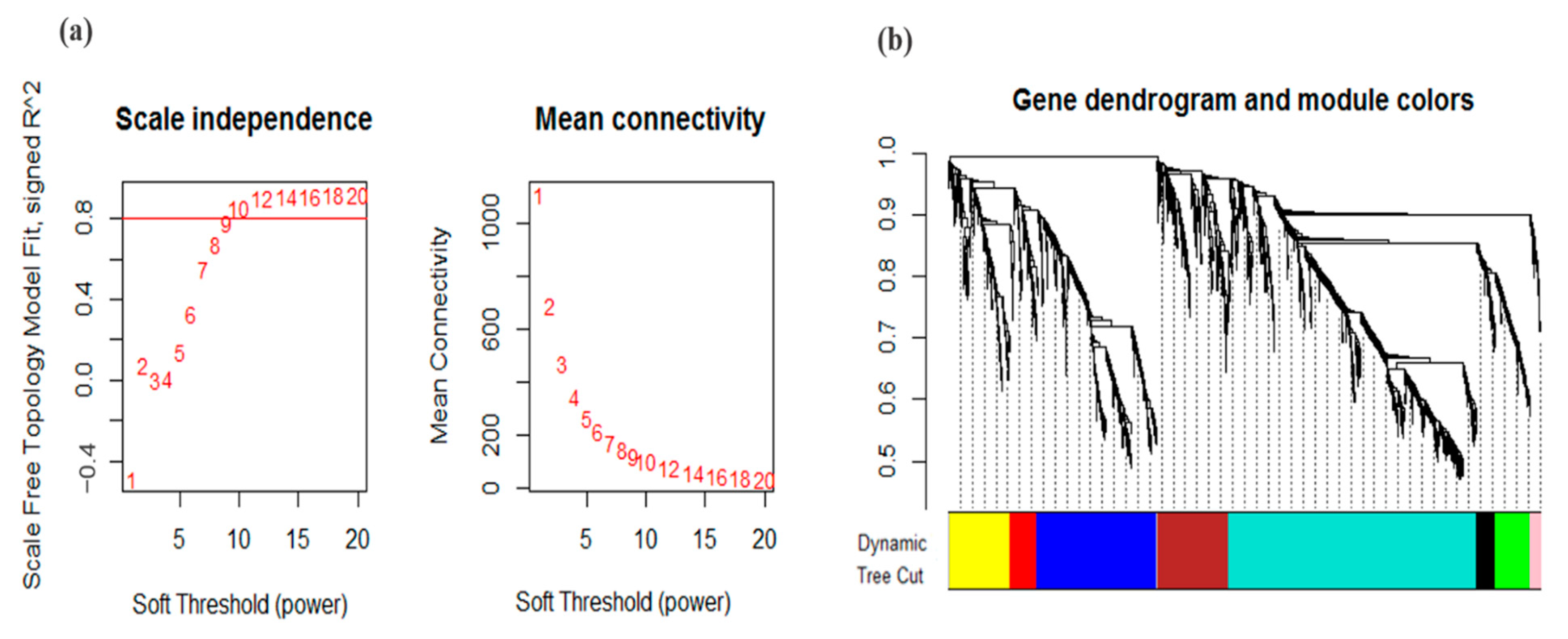 Genes 13 01732 g003