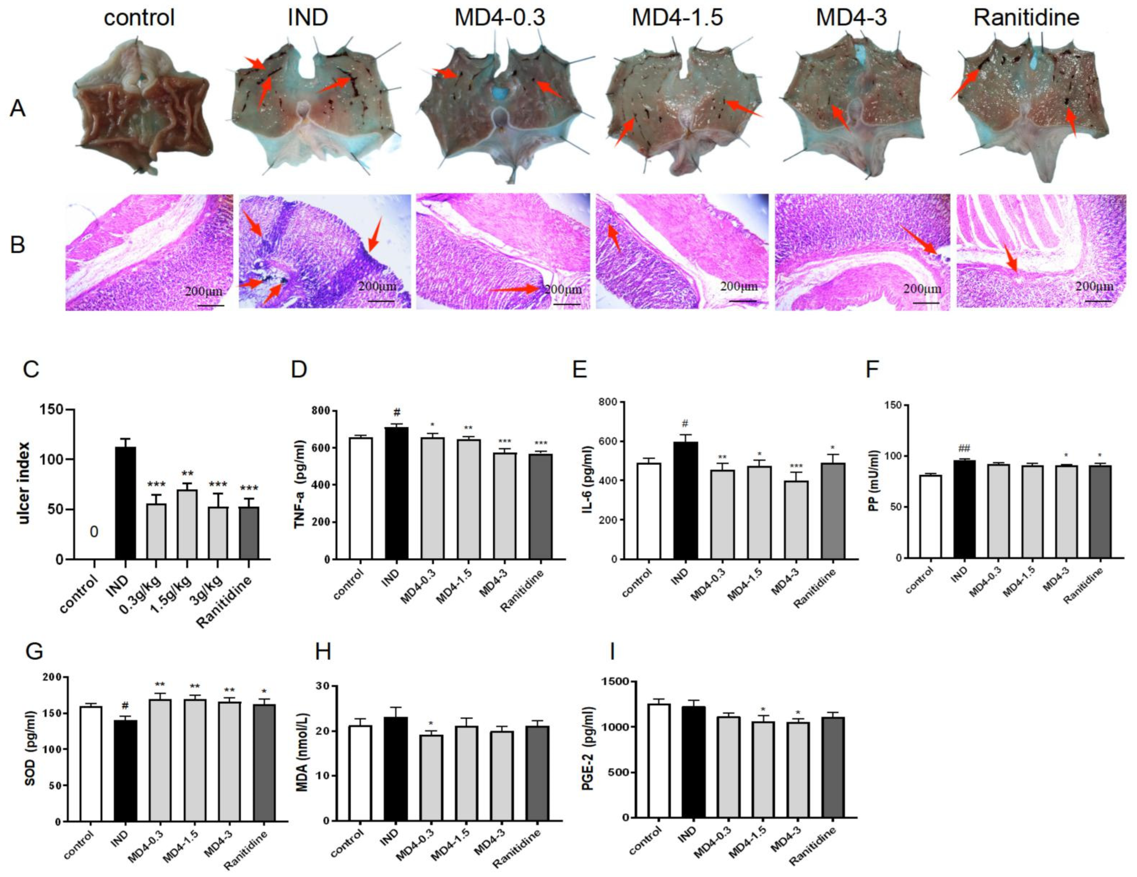 Genes 13 01740 g001