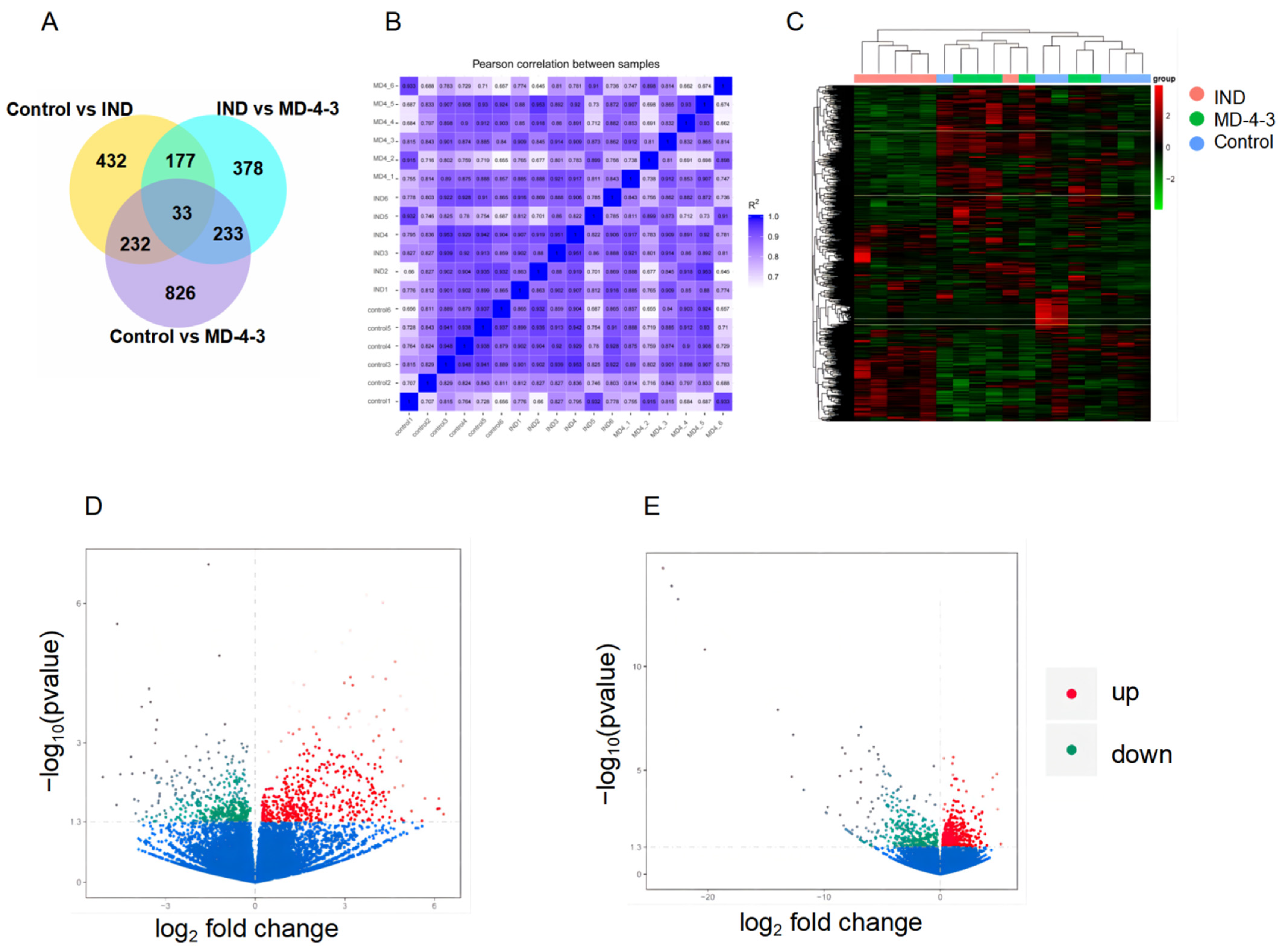 Genes 13 01740 g002