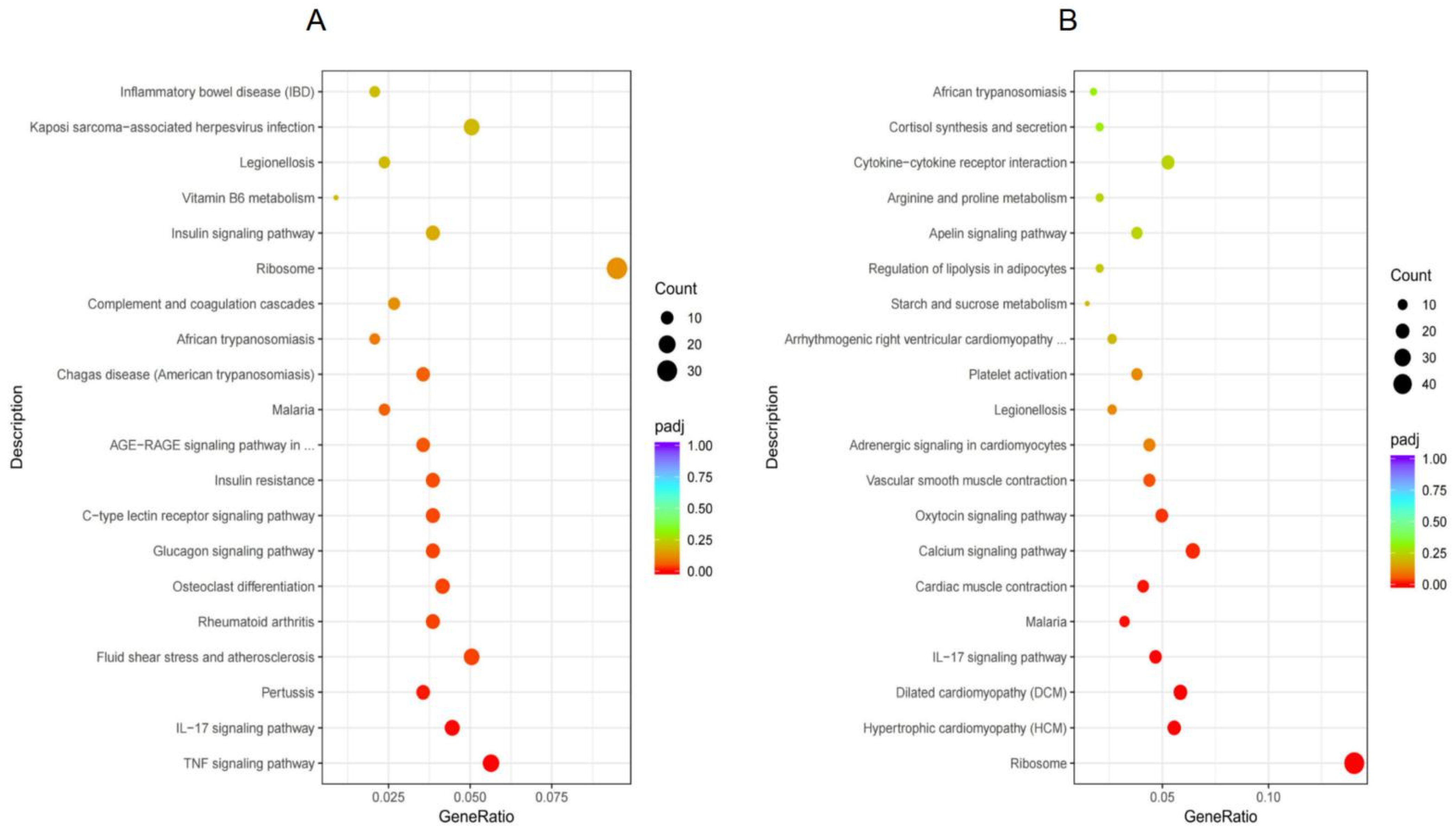 Genes 13 01740 g003