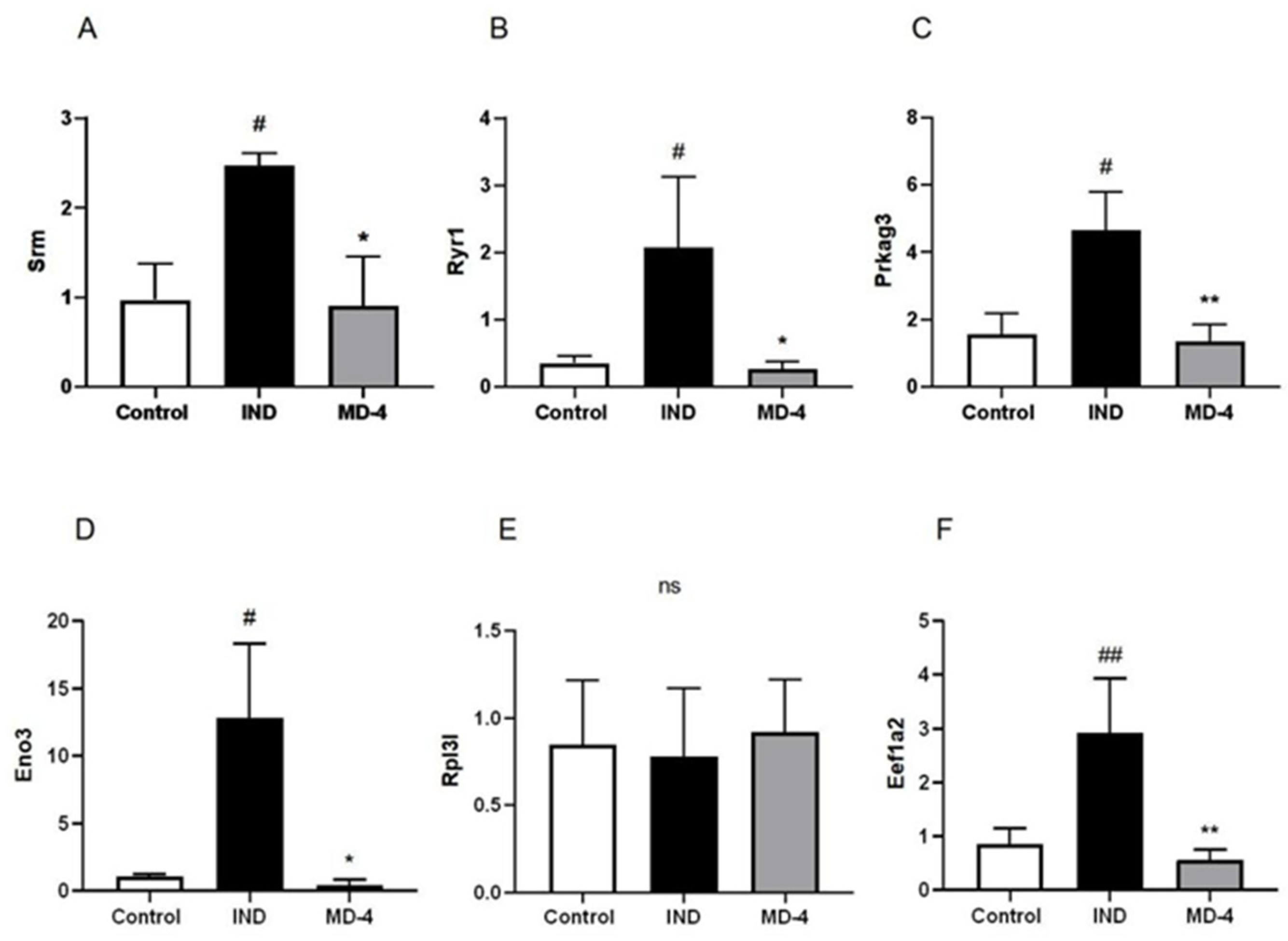 Genes 13 01740 g004