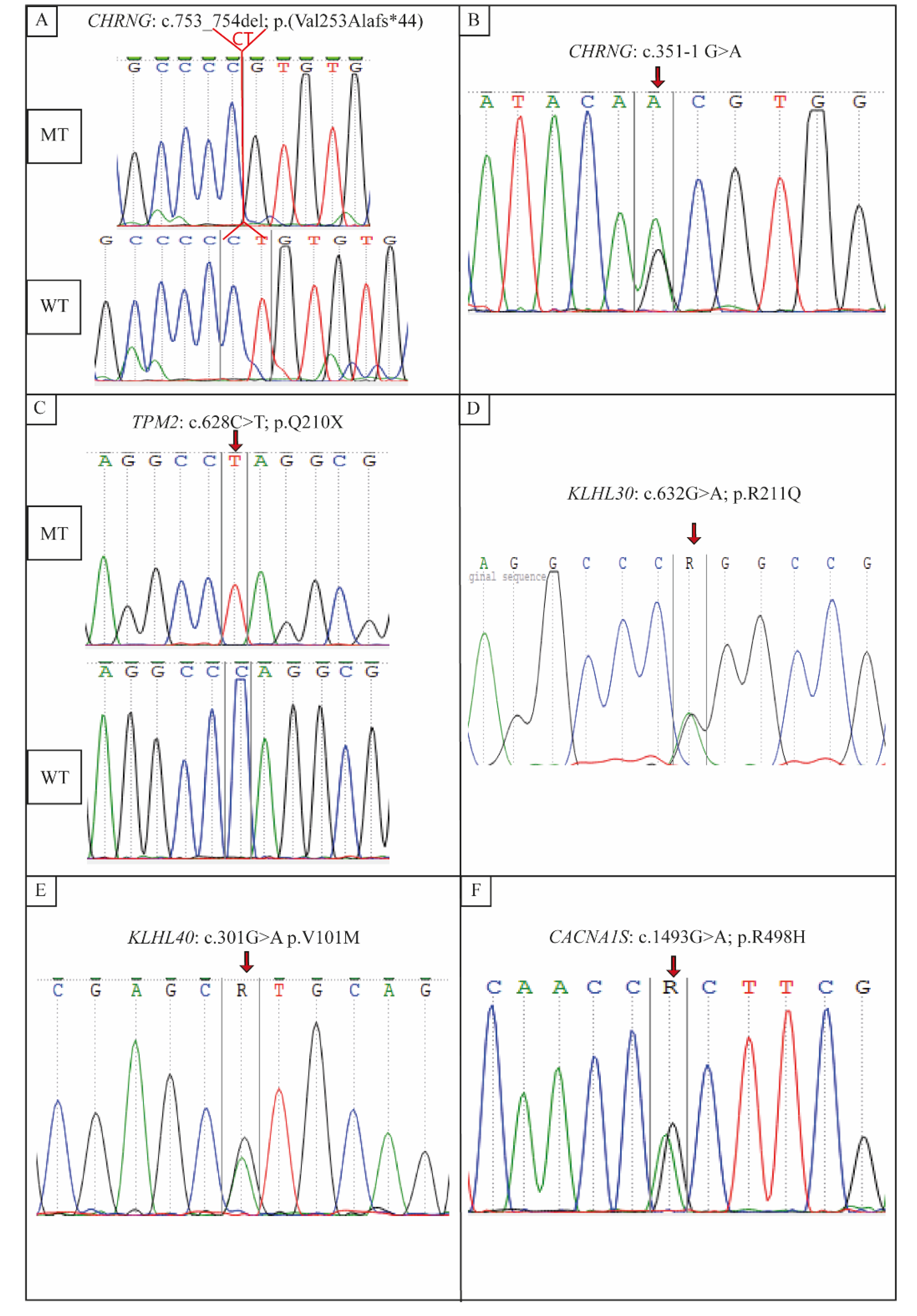 Genes 13 01748 g003 Genes 13 01748 g003