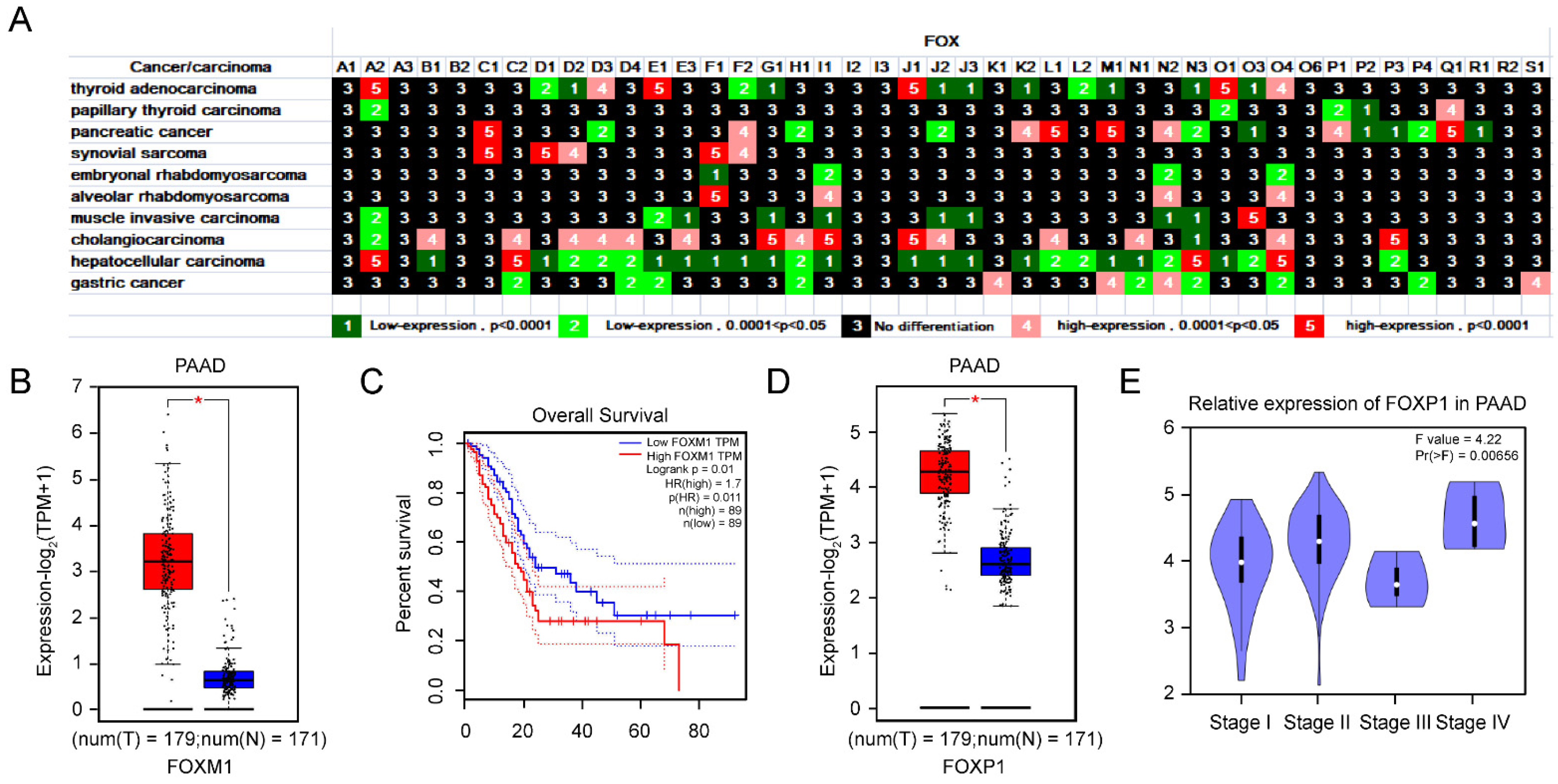 Genes 13 01754 g007