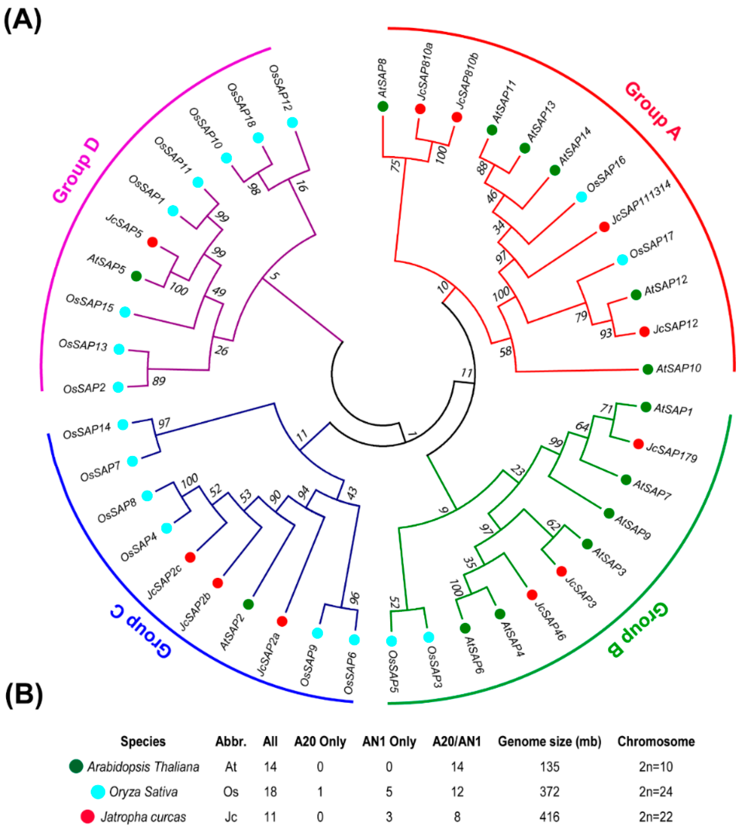 Genes 13 01766 g001 Genes 13 01766 g001