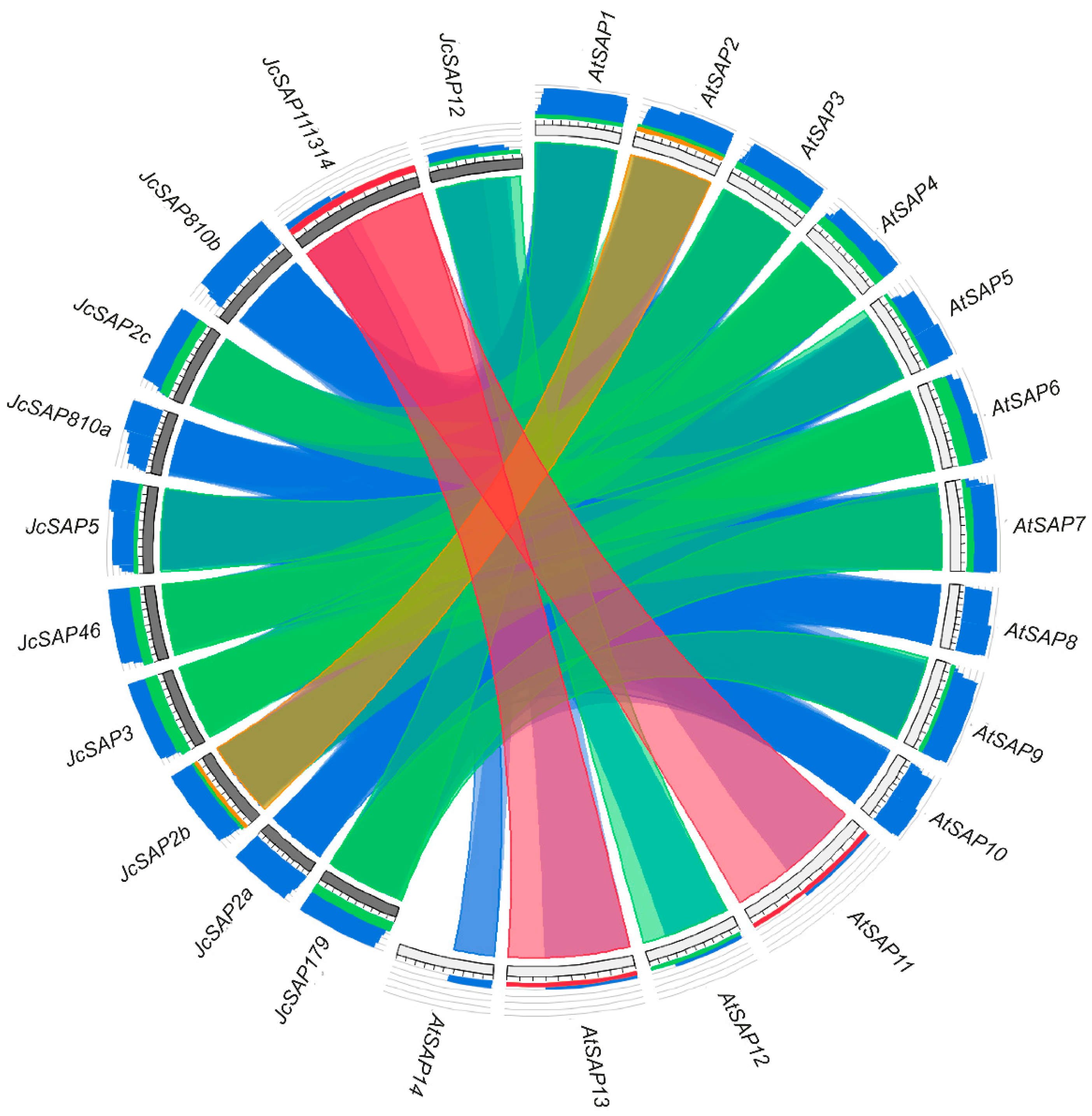 Genes 13 01766 g002 Genes 13 01766 g002