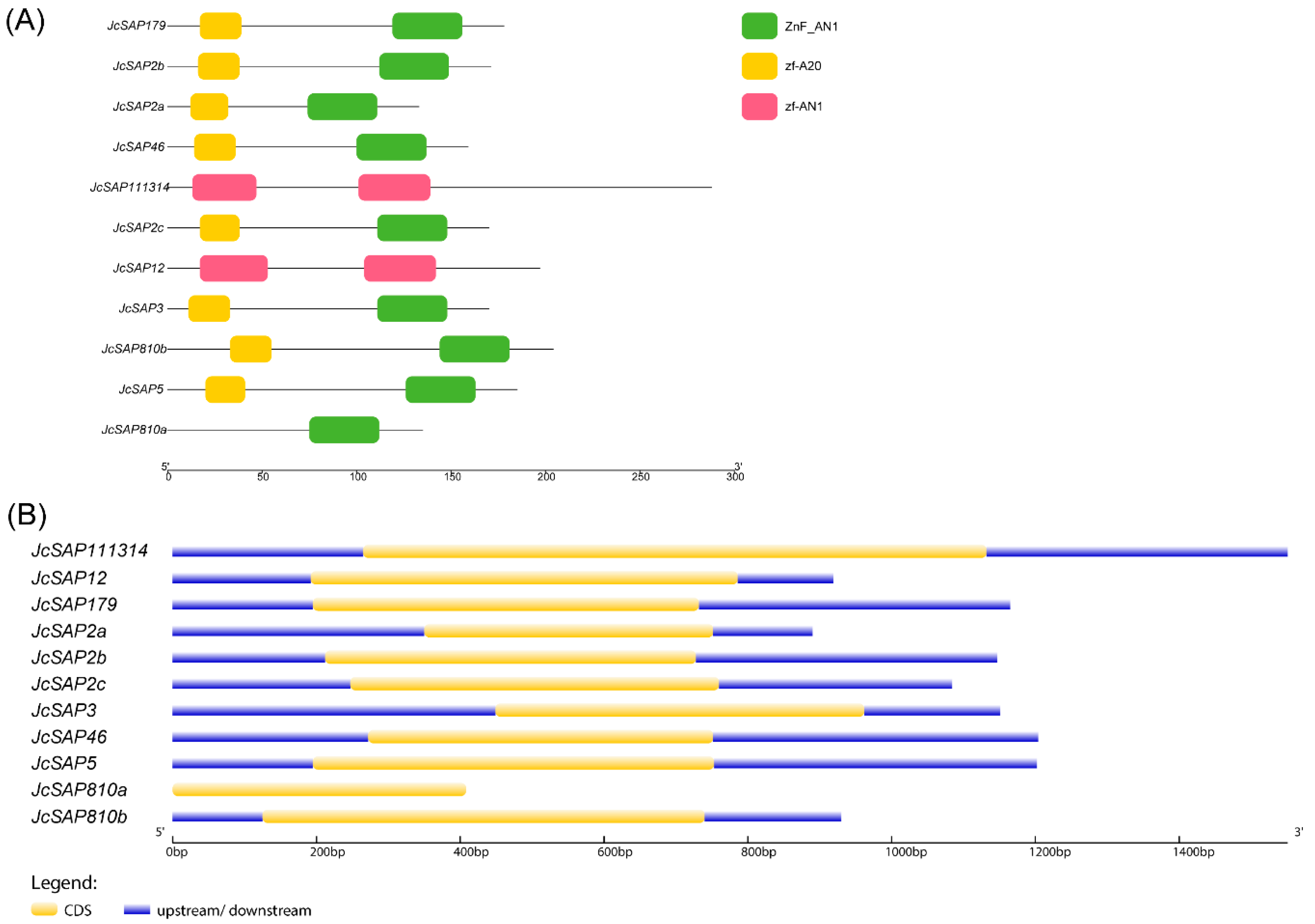 Genes 13 01766 g003 Genes 13 01766 g003