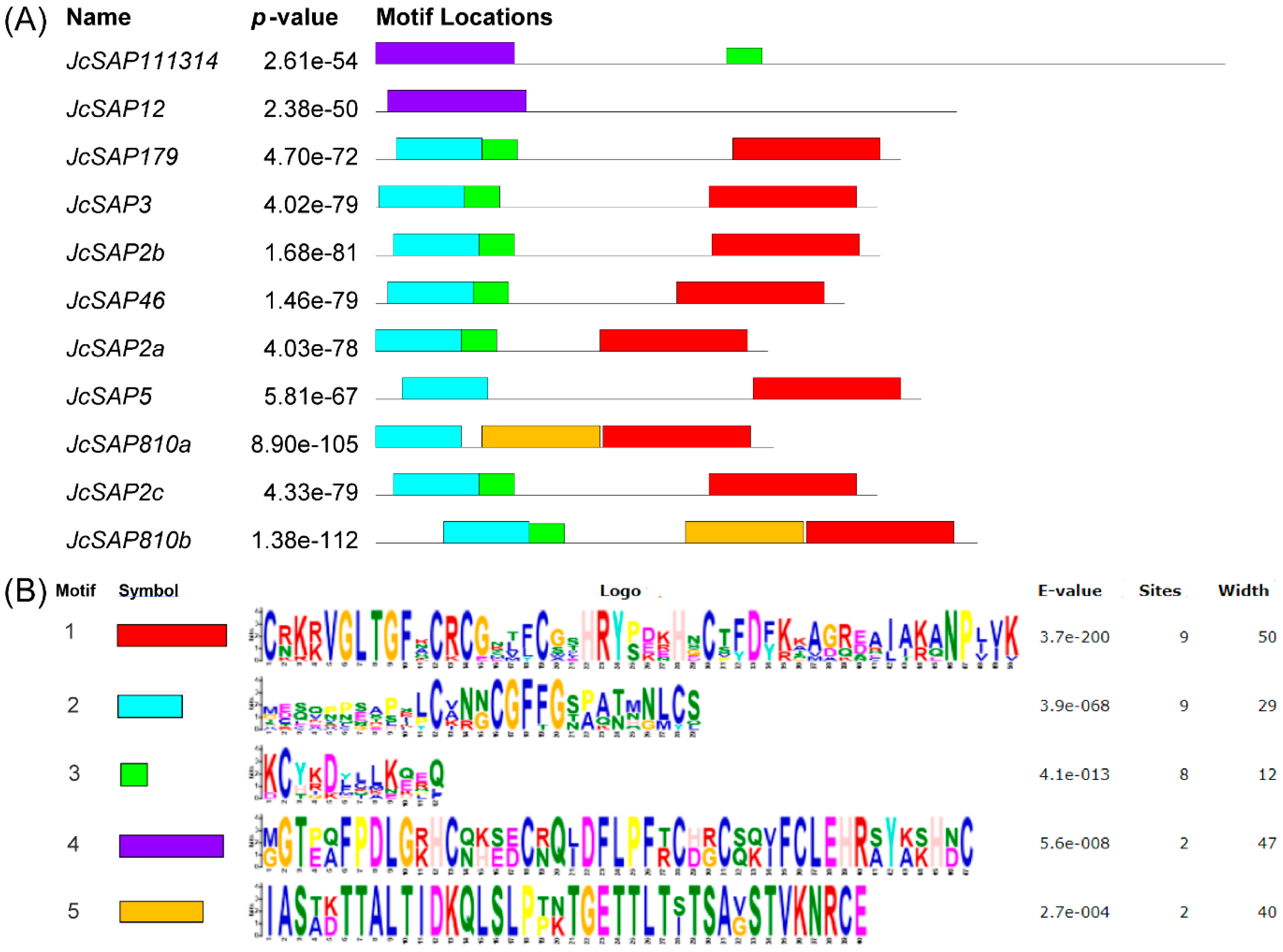 Genes 13 01766 g004 Genes 13 01766 g004