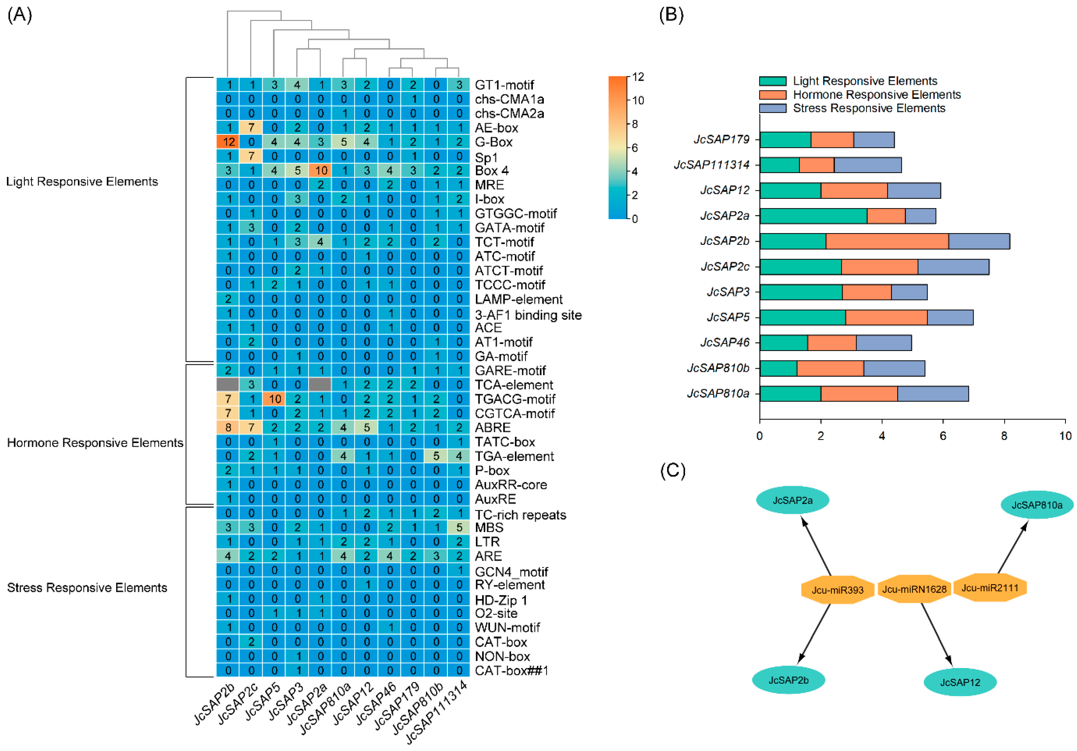 Genes 13 01766 g006 Genes 13 01766 g006