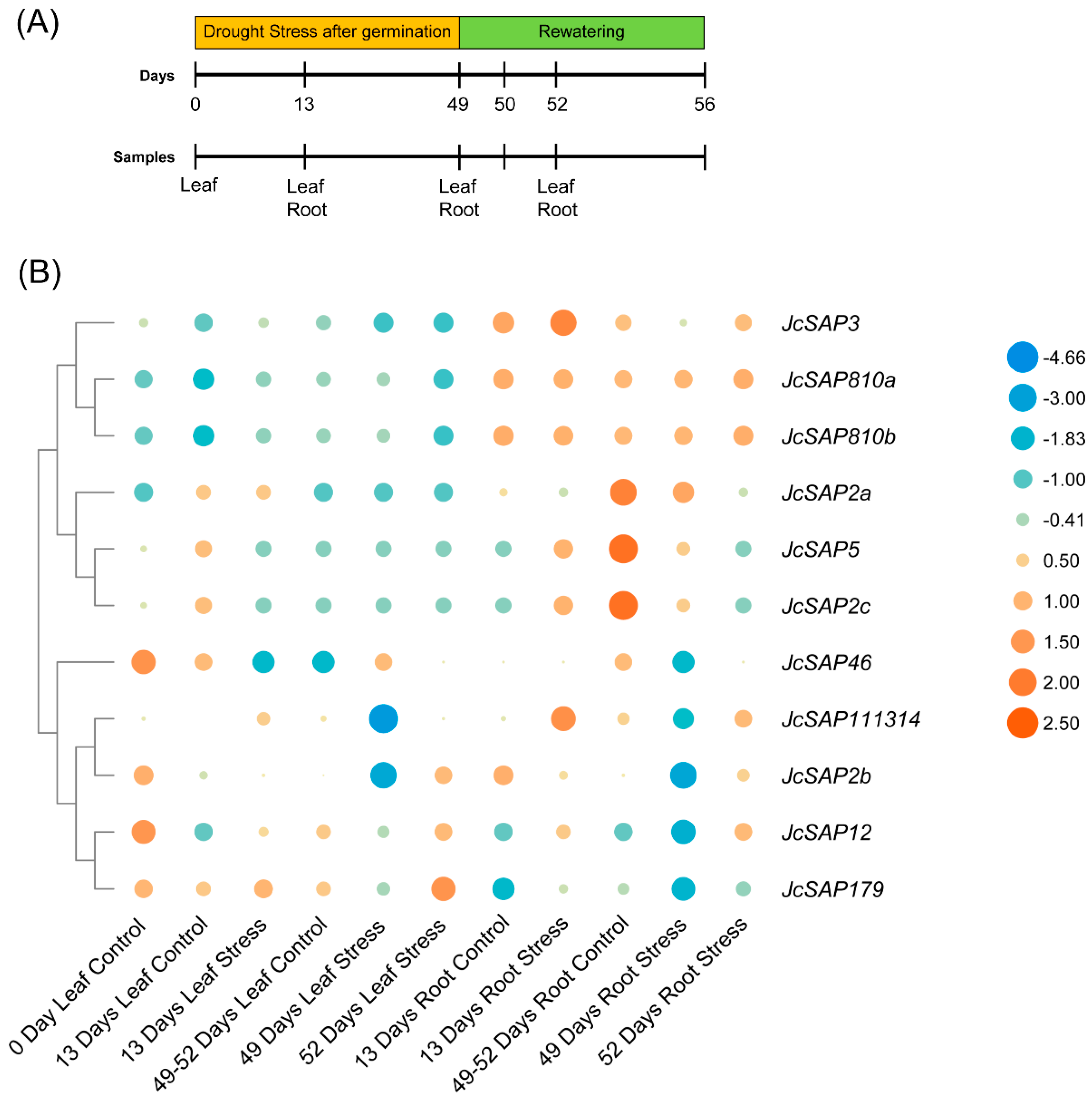 Genes 13 01766 g007 Genes 13 01766 g007
