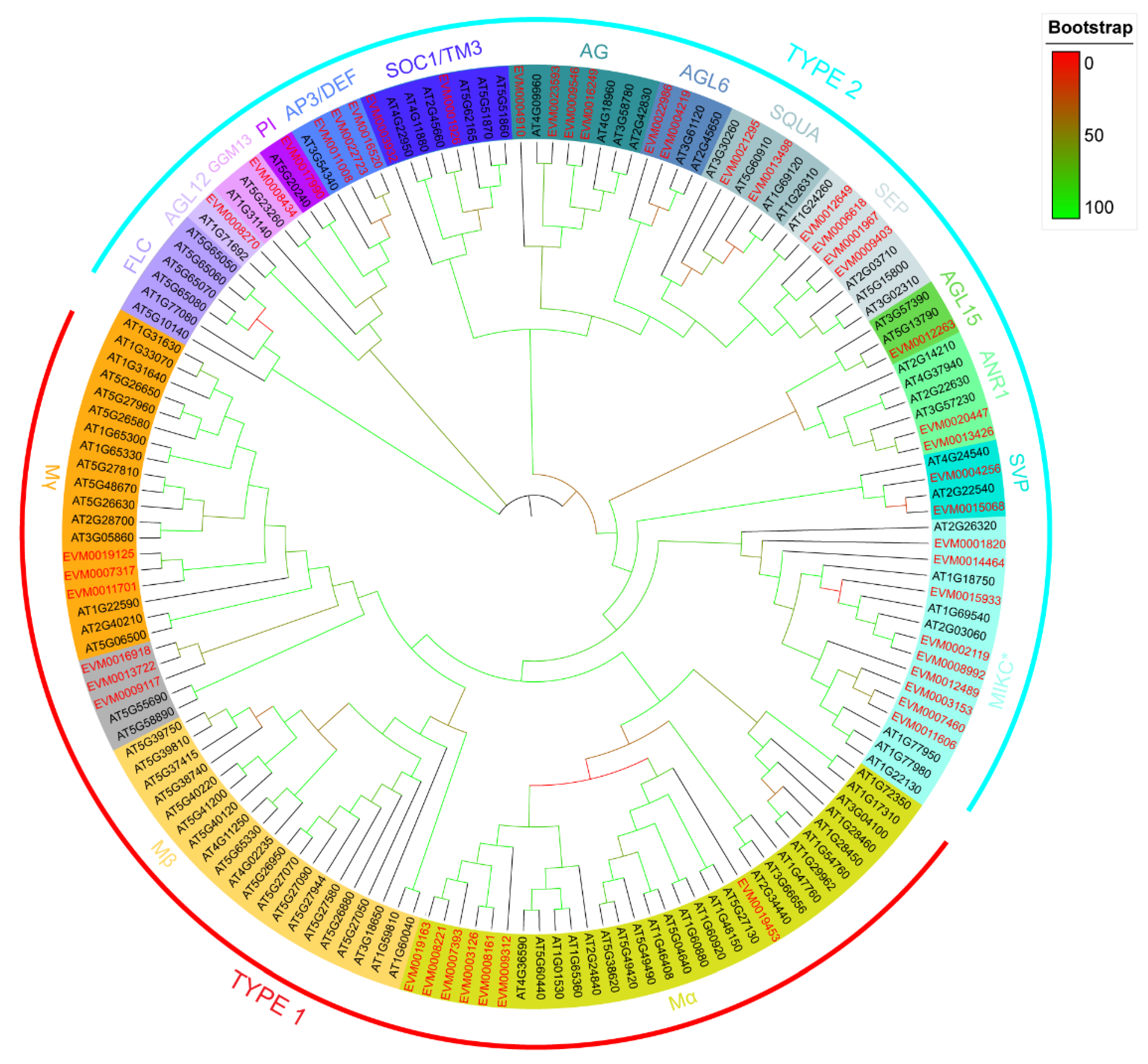 Genes 13 01777 g001