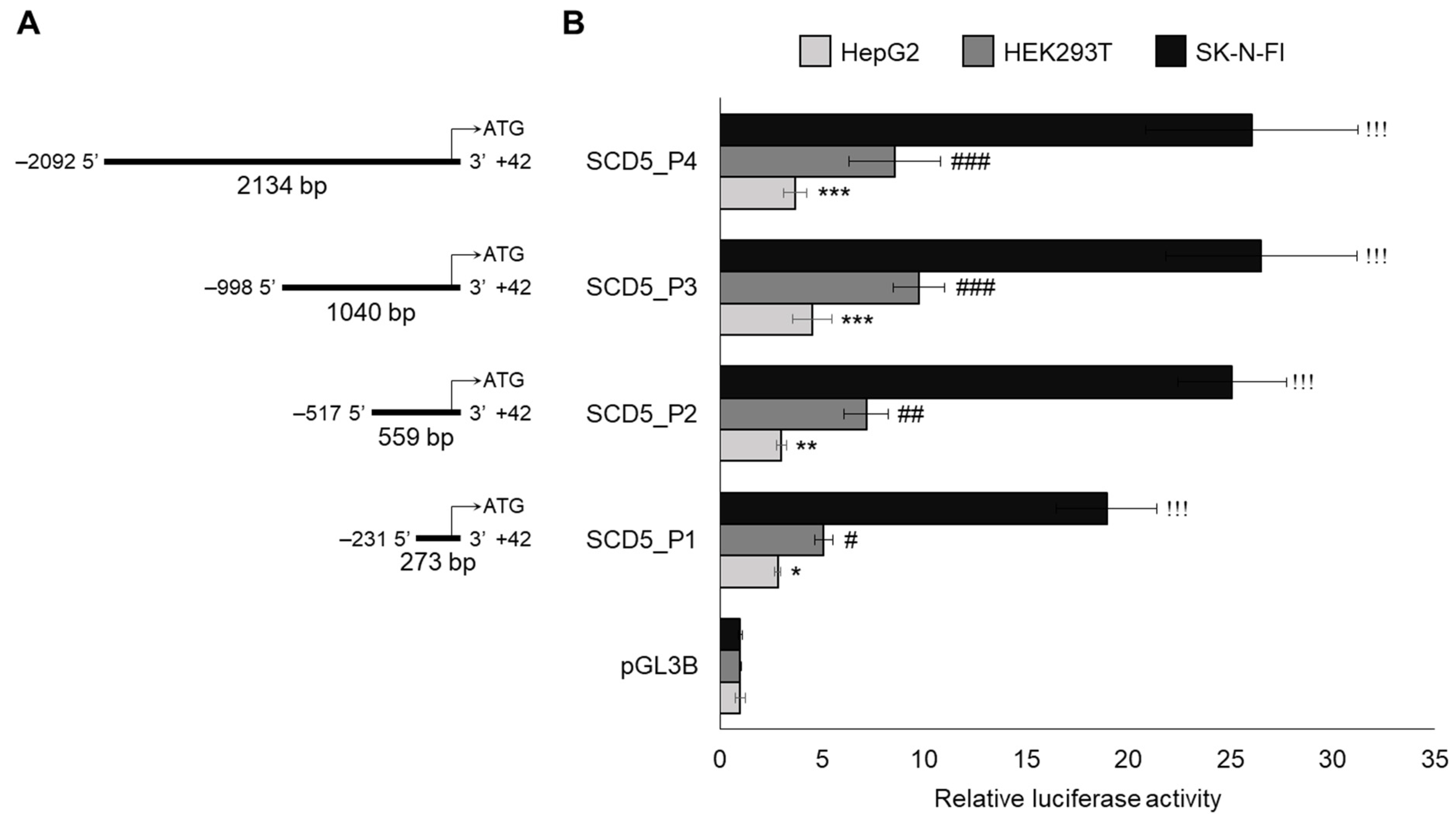 Genes 13 01784 g001