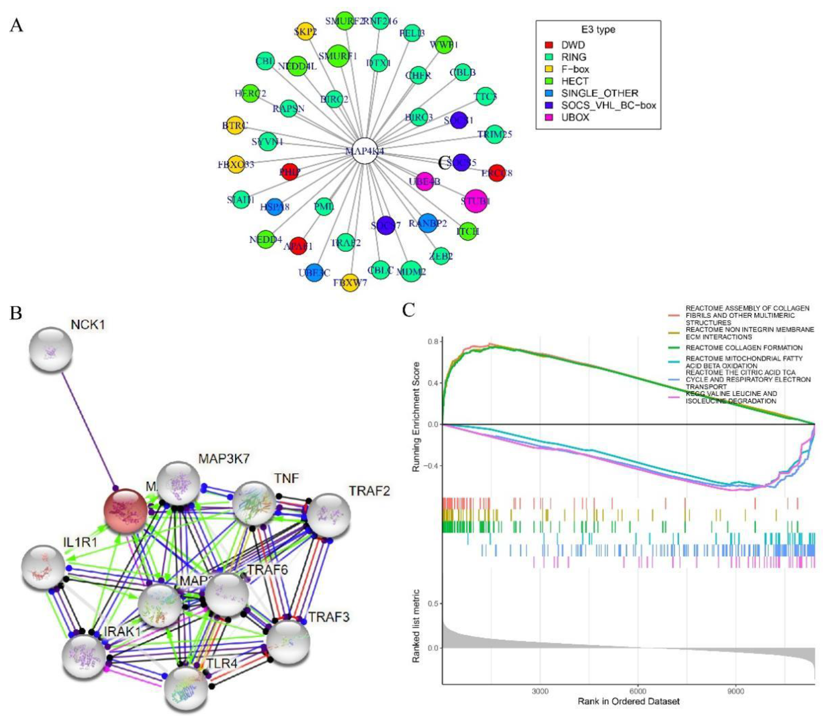 Genes 13 01786 g004