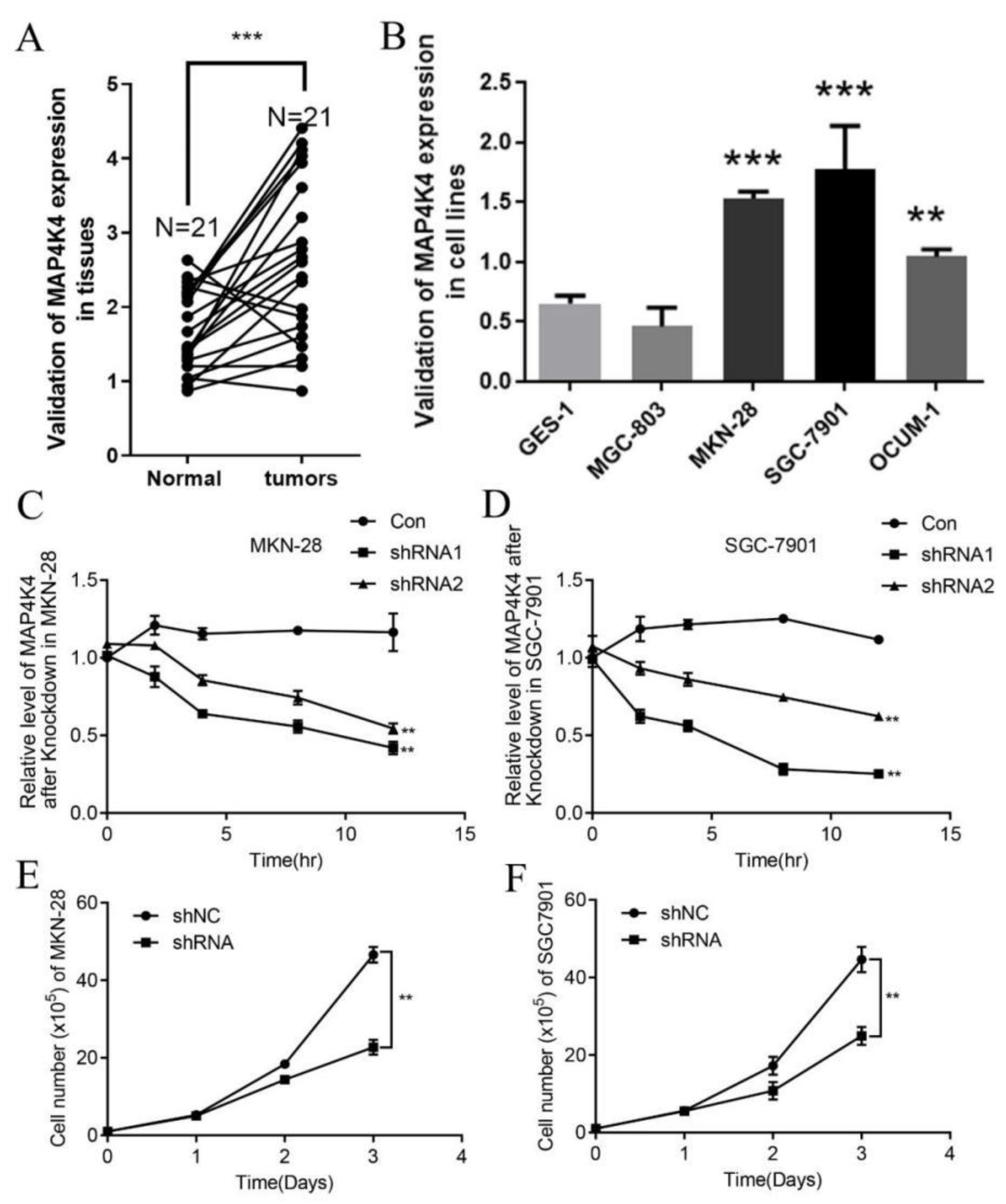 Genes 13 01786 g005