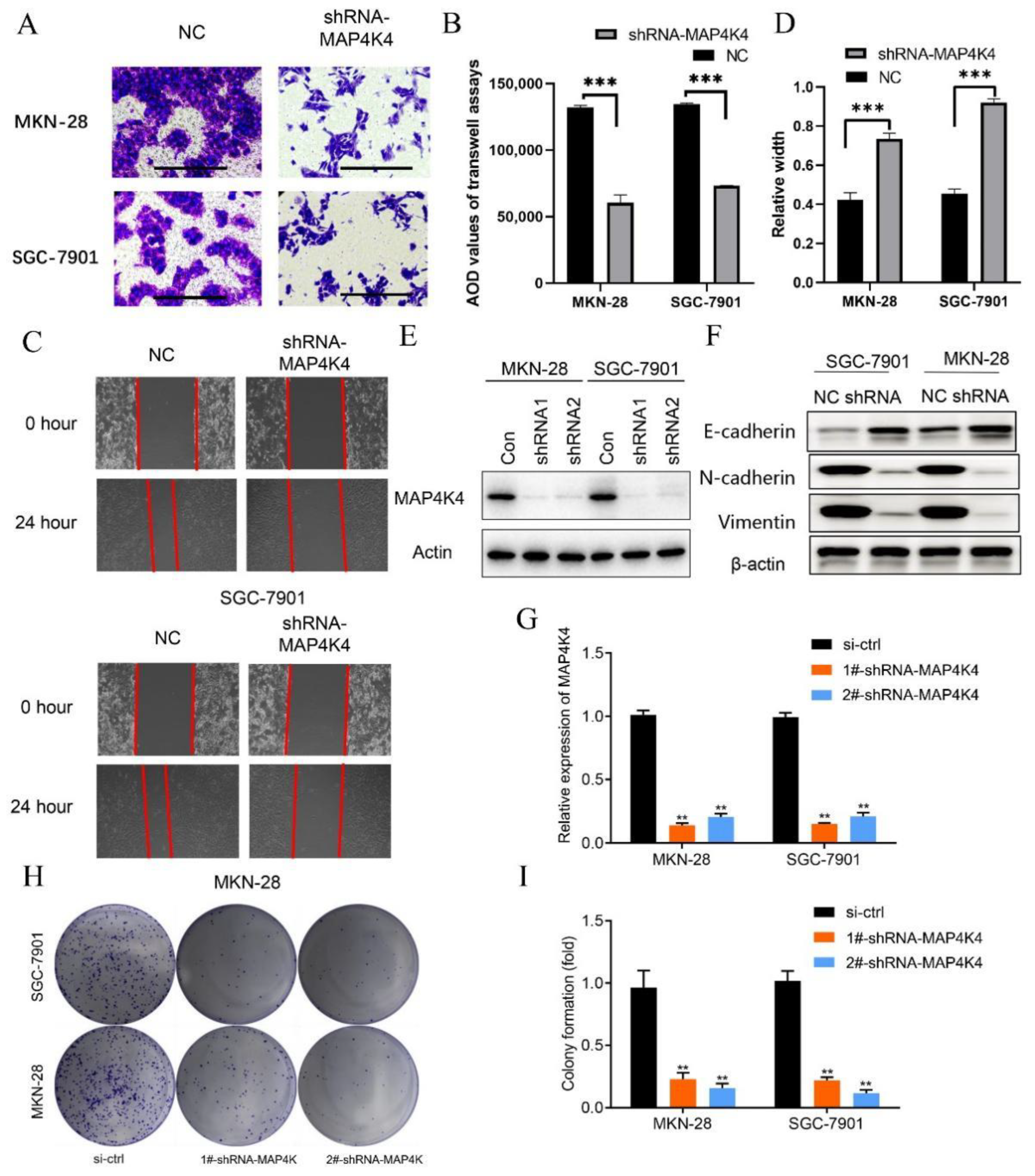 Genes 13 01786 g006