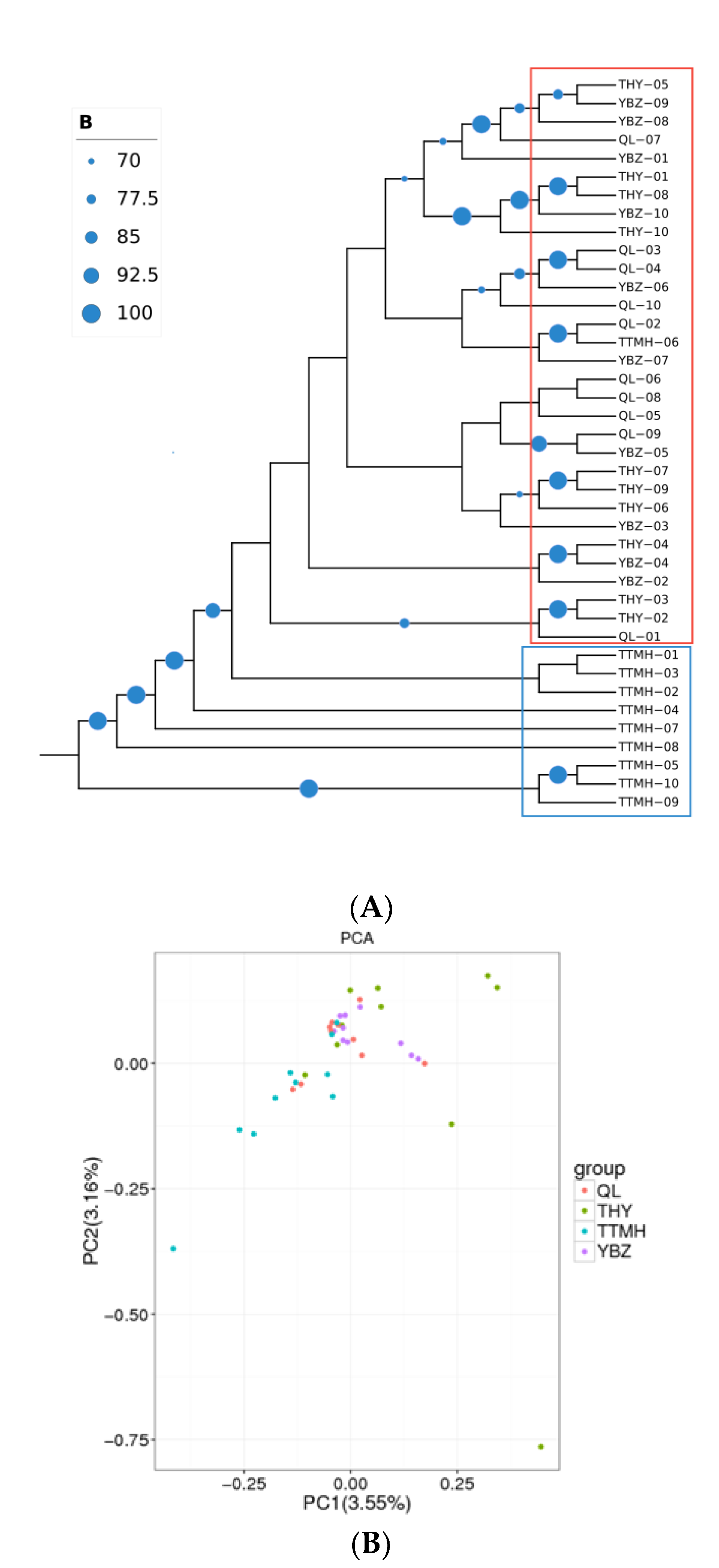 Genes 13 01790 g003 Genes 13 01790 g003