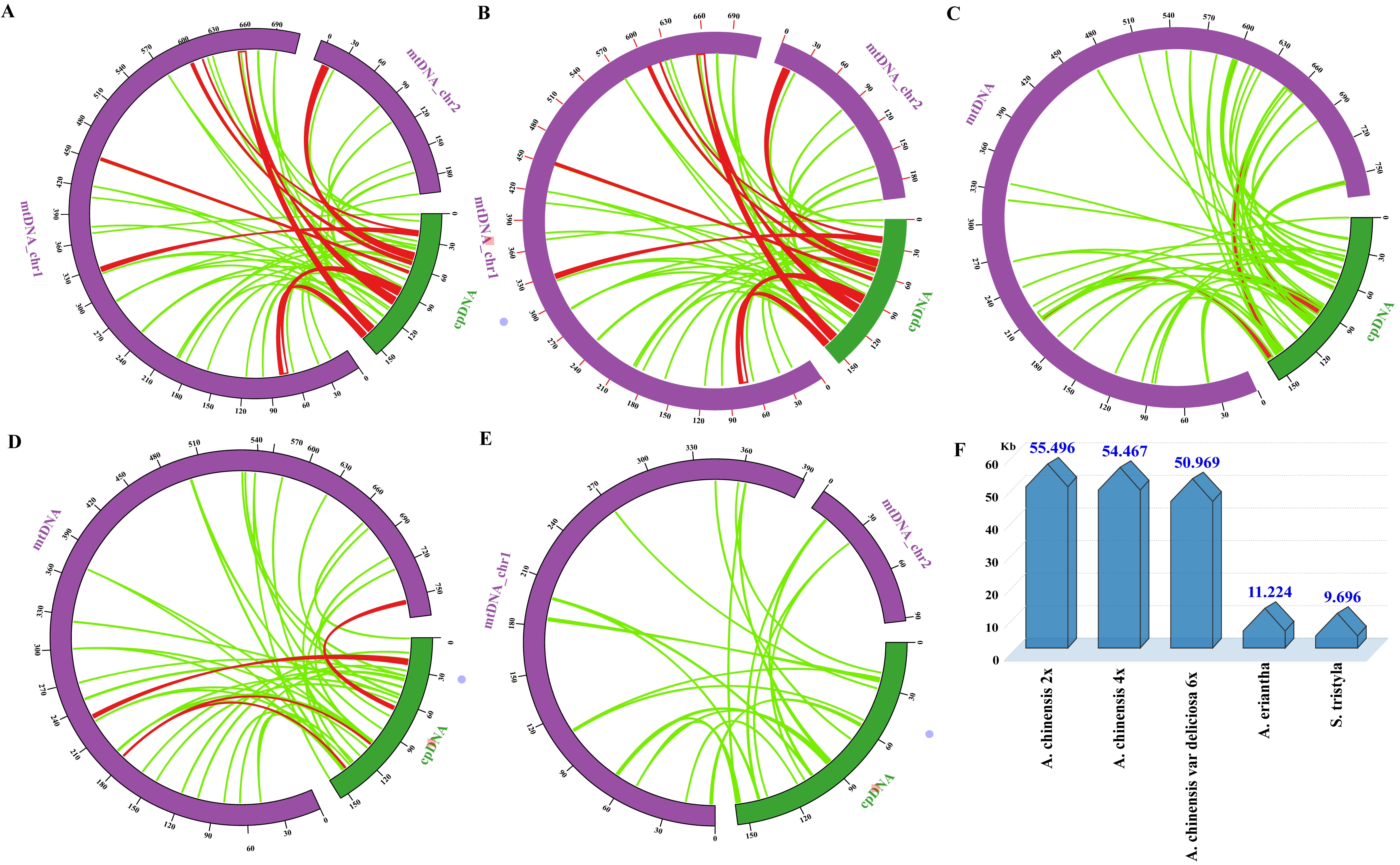 Genes 13 01827 g003 Genes 13 01827 g003