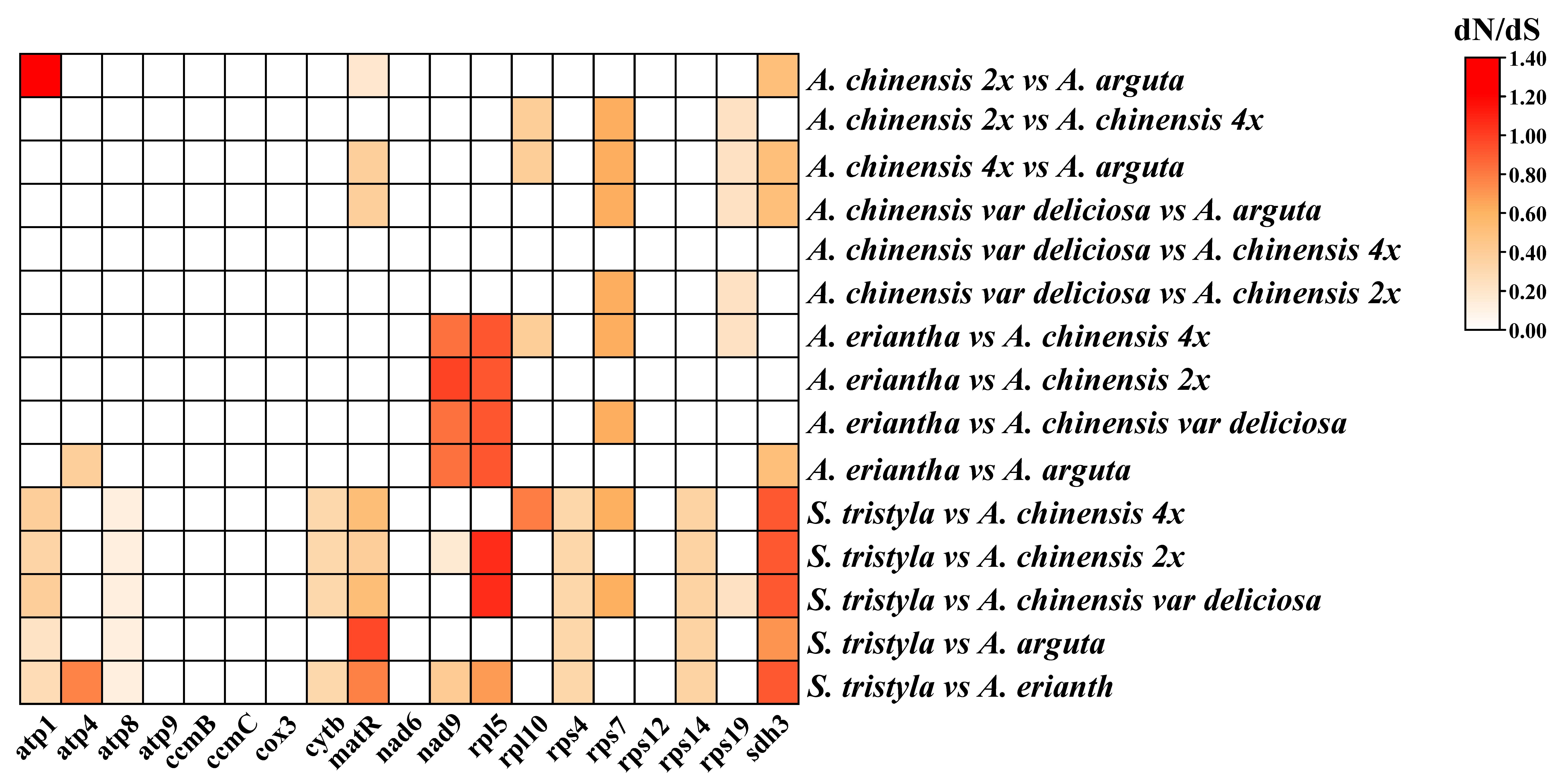 Genes 13 01827 g006 Genes 13 01827 g006