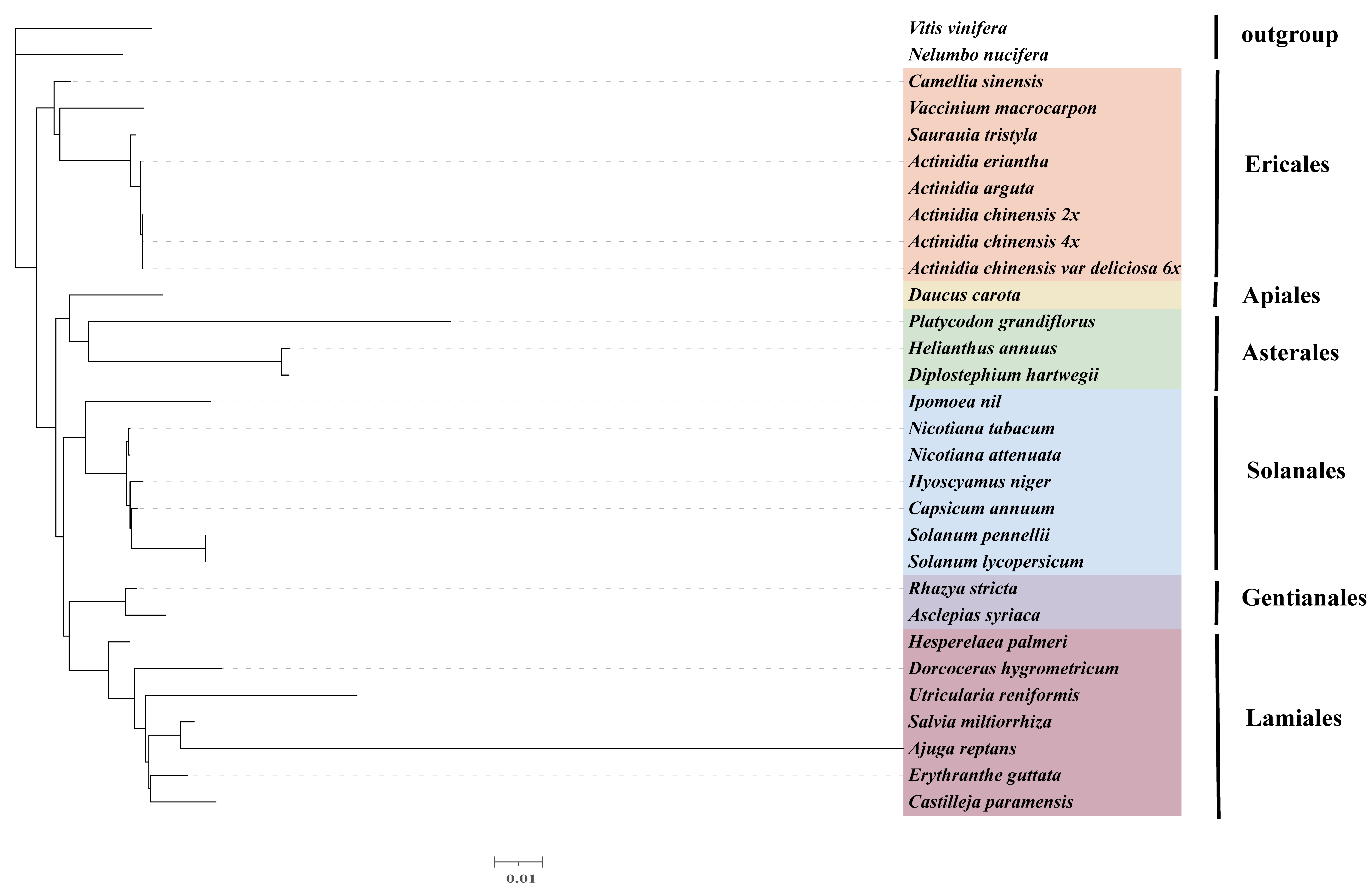 Genes 13 01827 g007 Genes 13 01827 g007