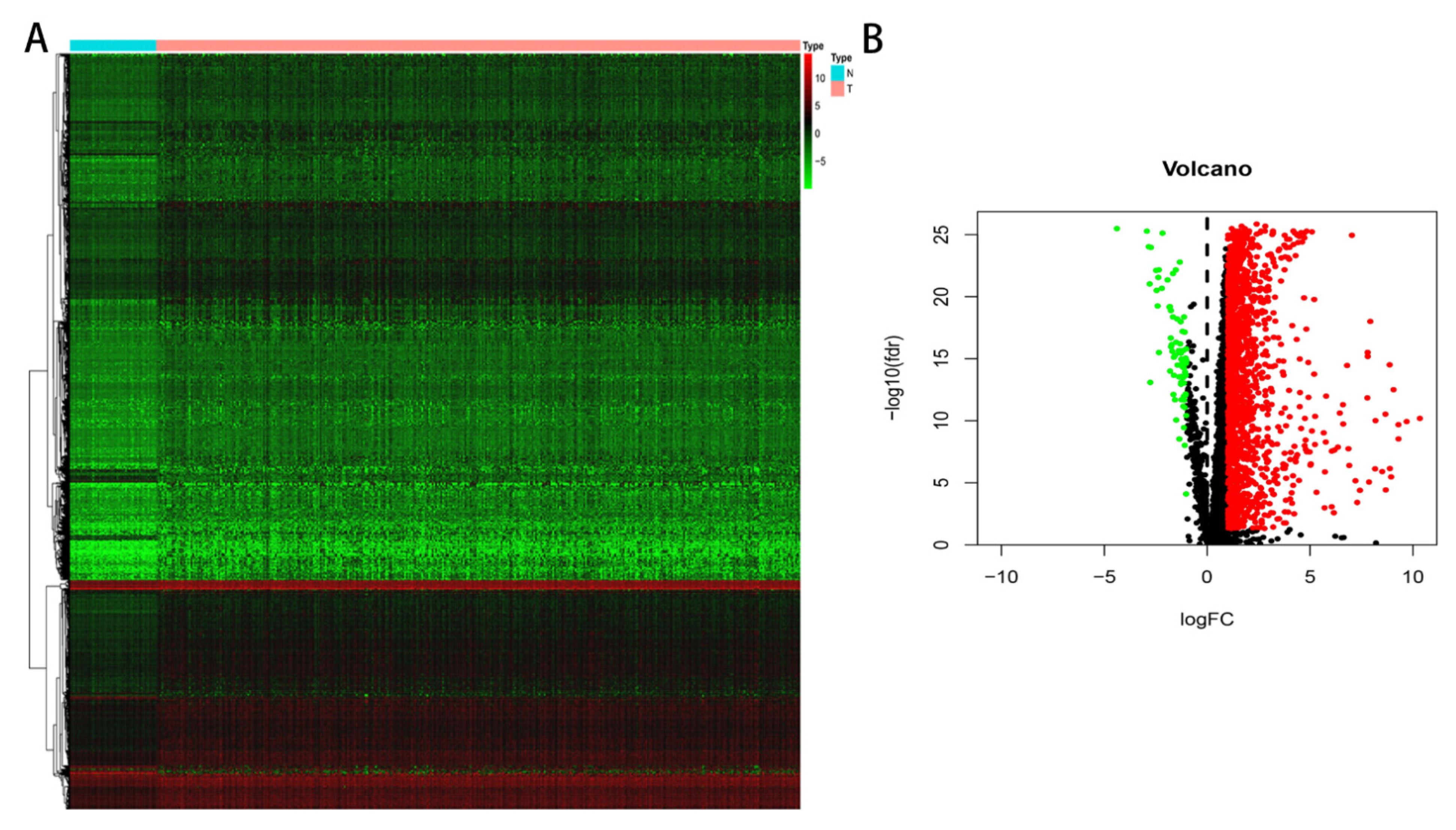 Genes 13 01834 g001