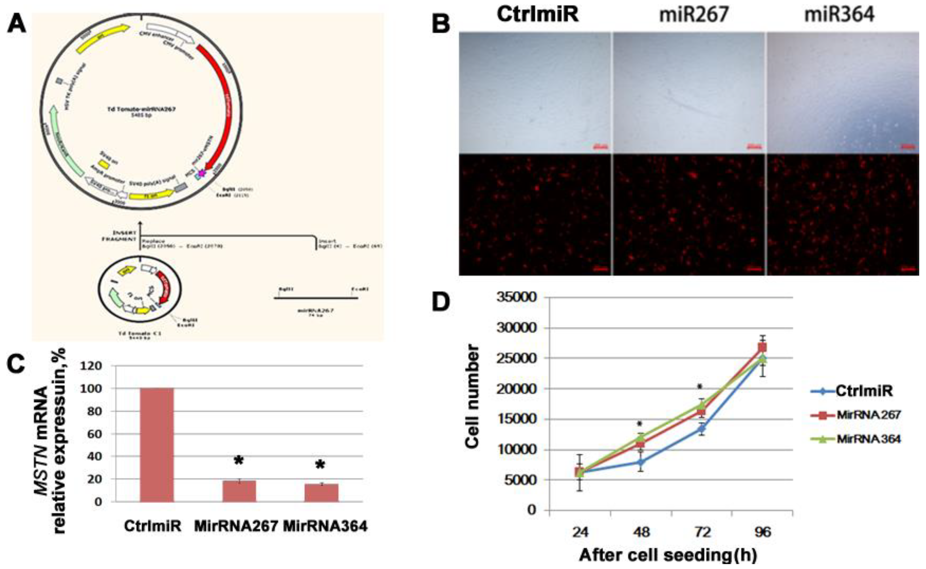 Genes 13 01836 g002