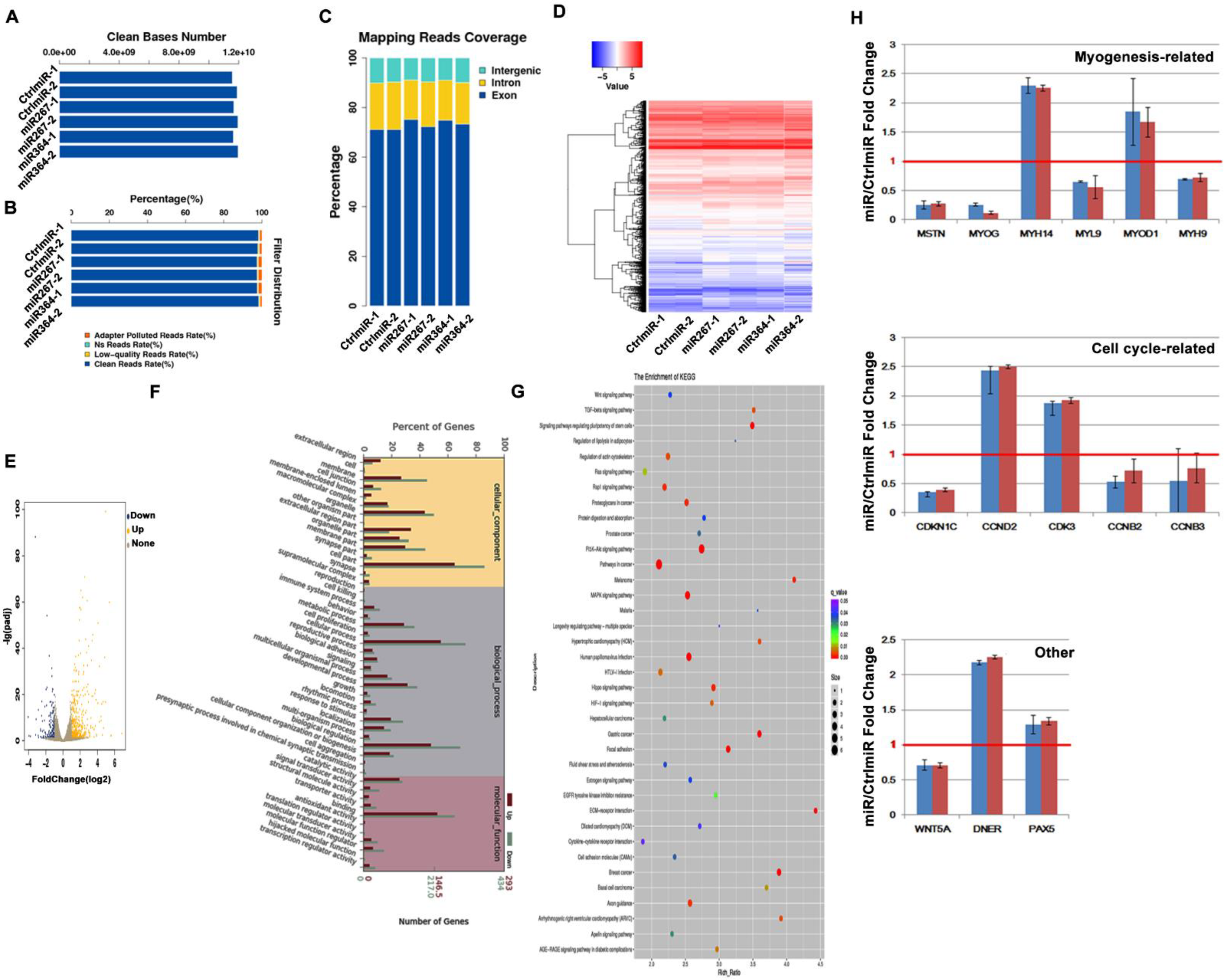 Genes 13 01836 g003