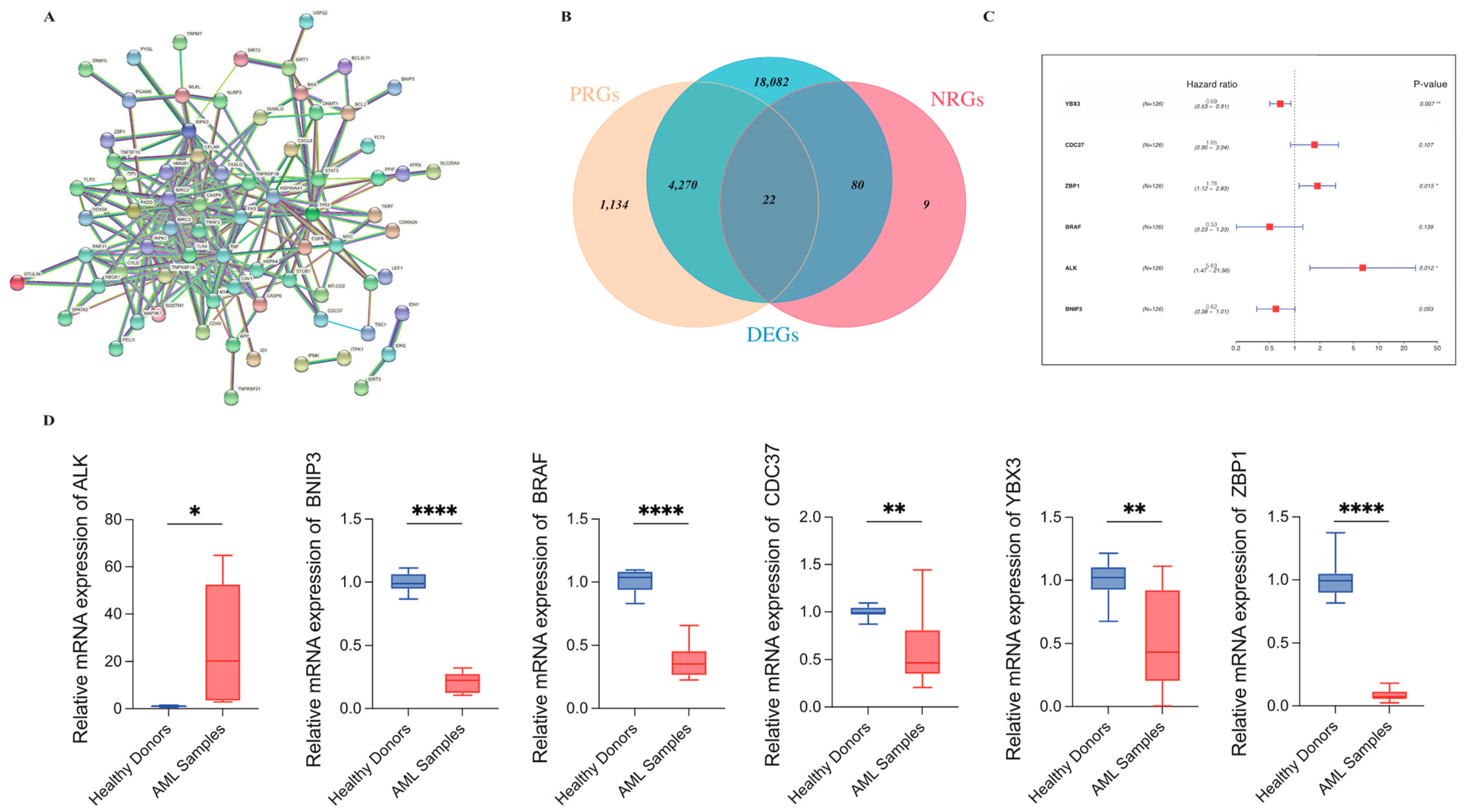 Genes 13 01837 g002