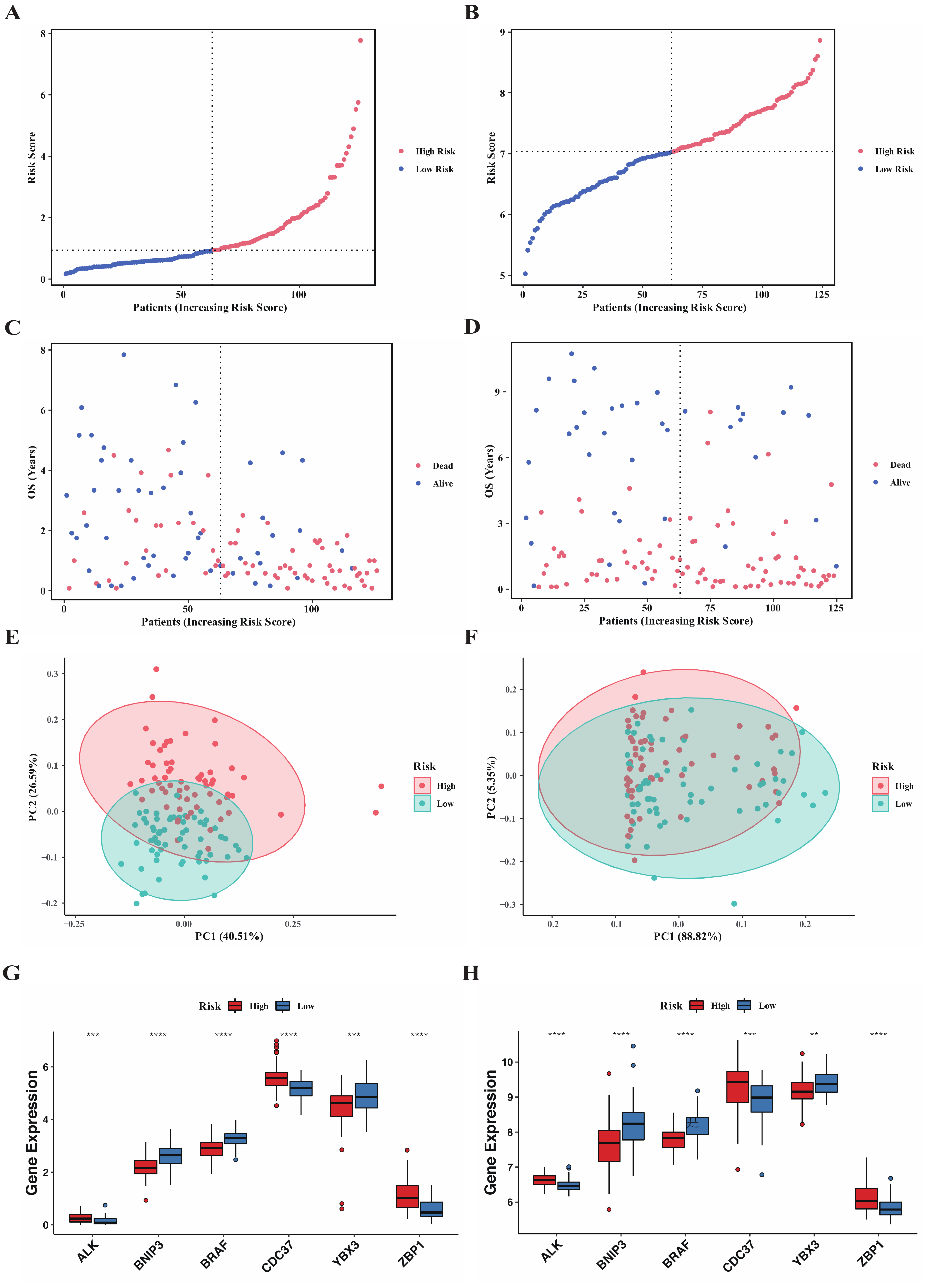 Genes 13 01837 g004
