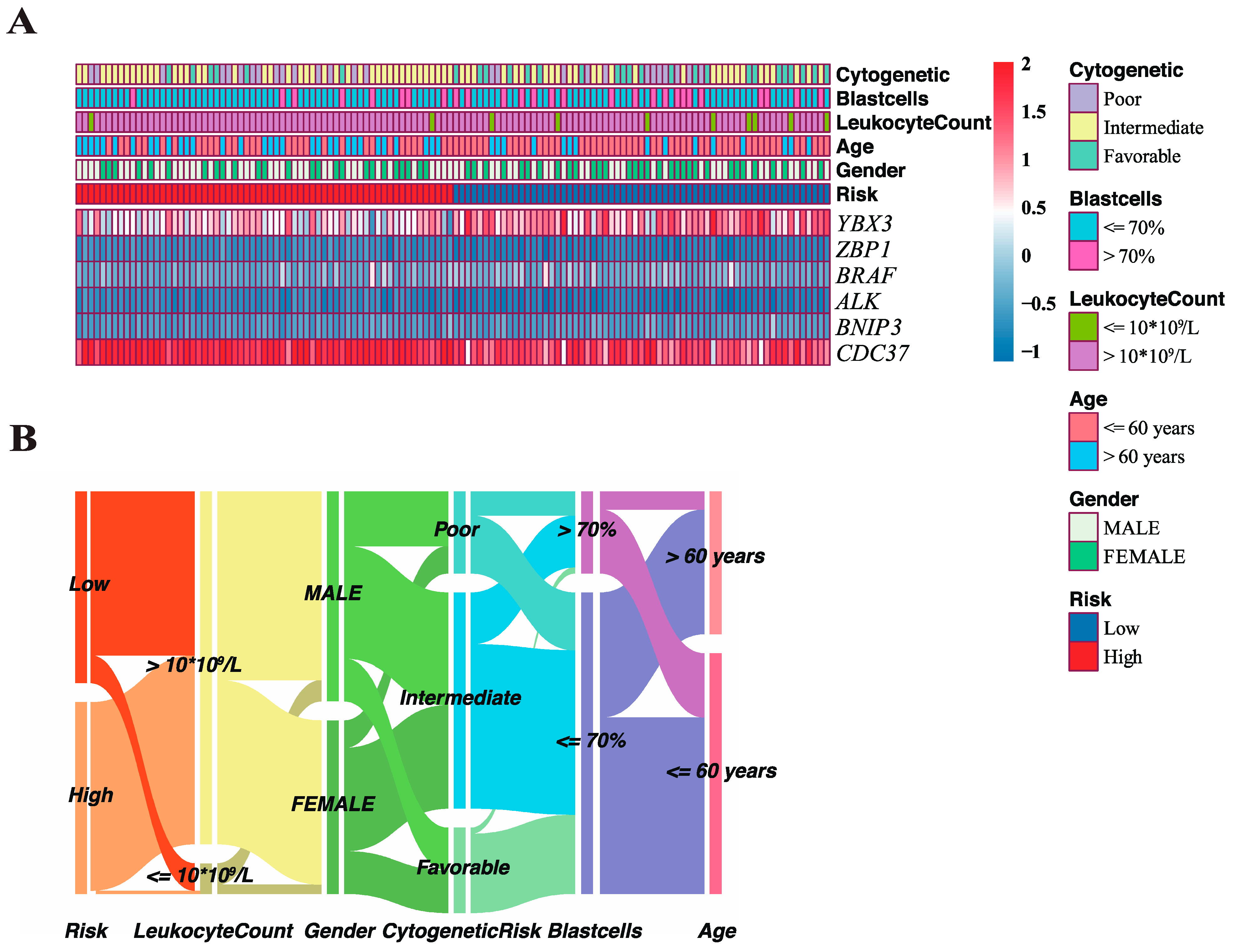 Genes 13 01837 g005