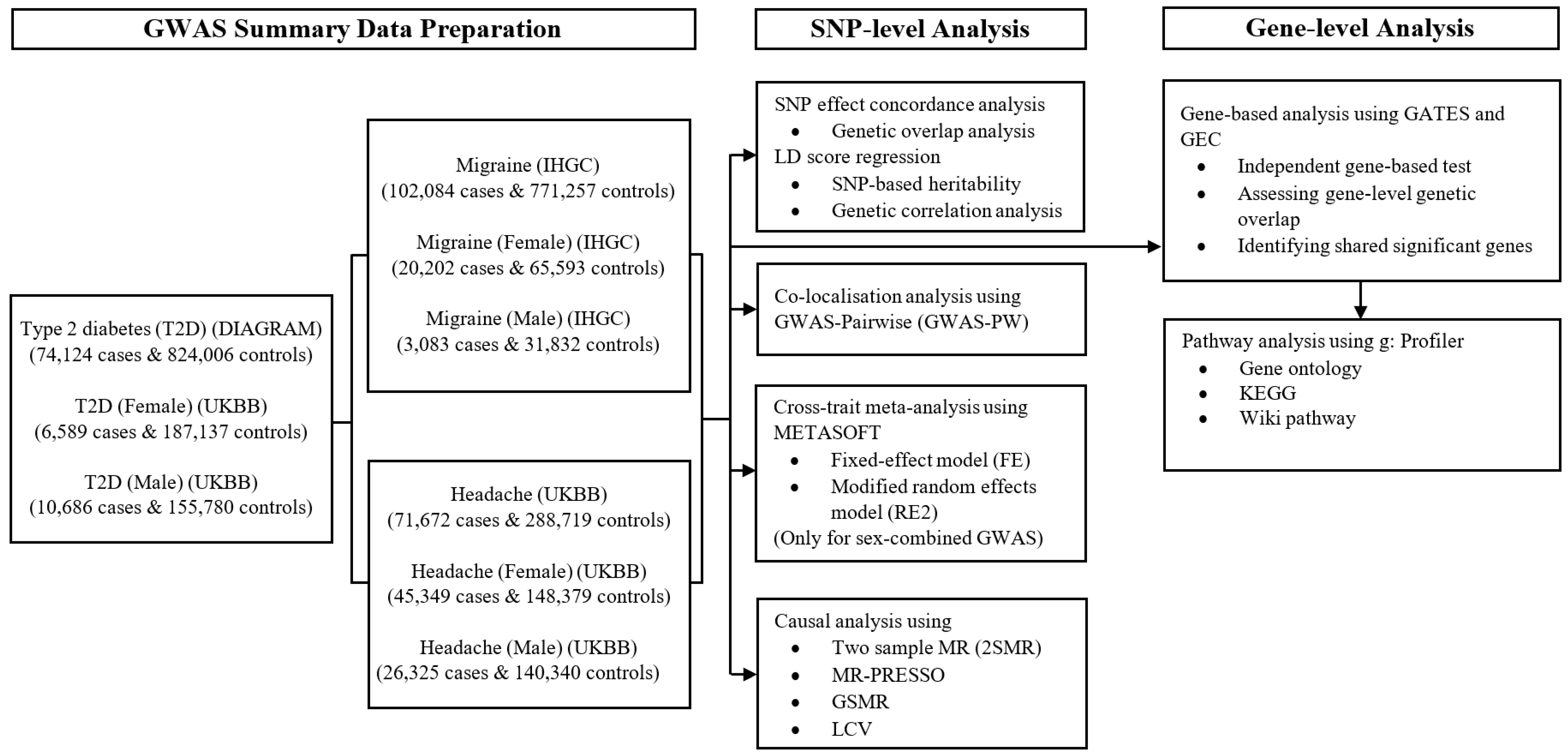 Genes 13 01845 g001
