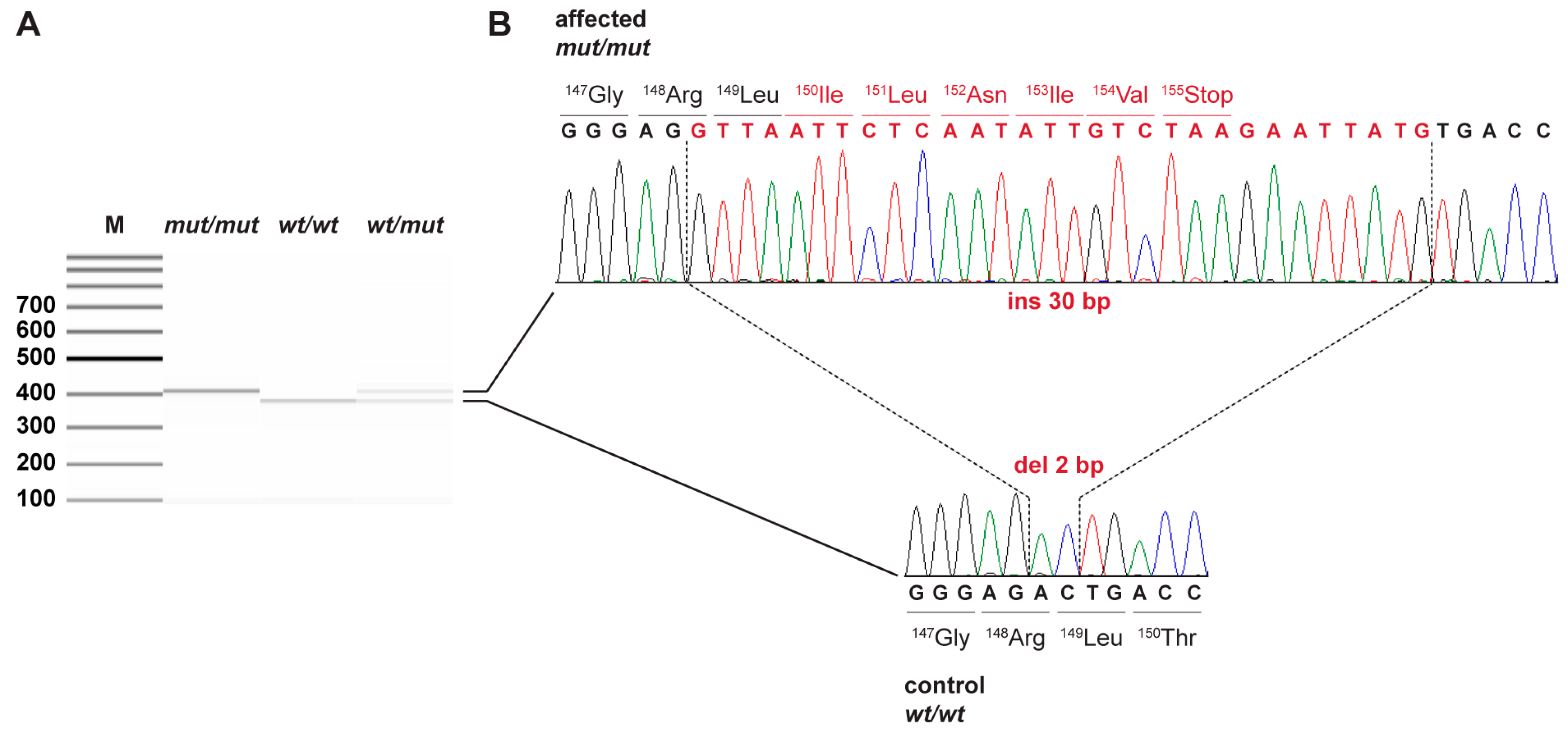 Genes 13 01847 g001