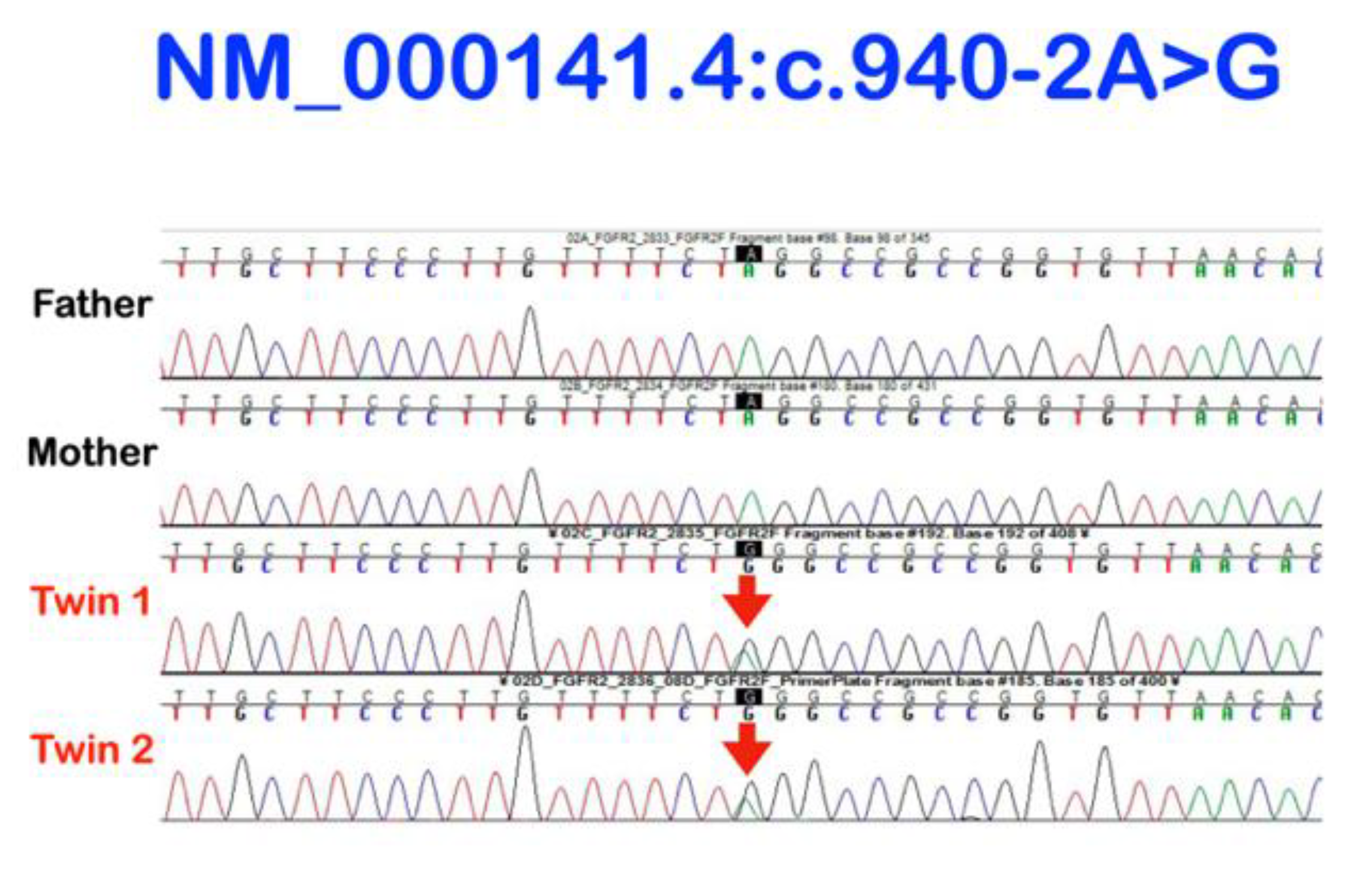 Genes 13 01850 g007 Genes 13 01850 g007