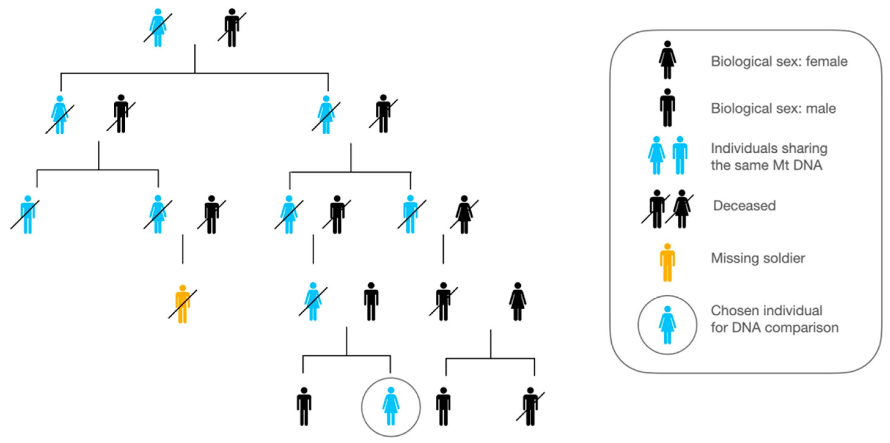Genes 13 01852 g004 Genes 13 01852 g004