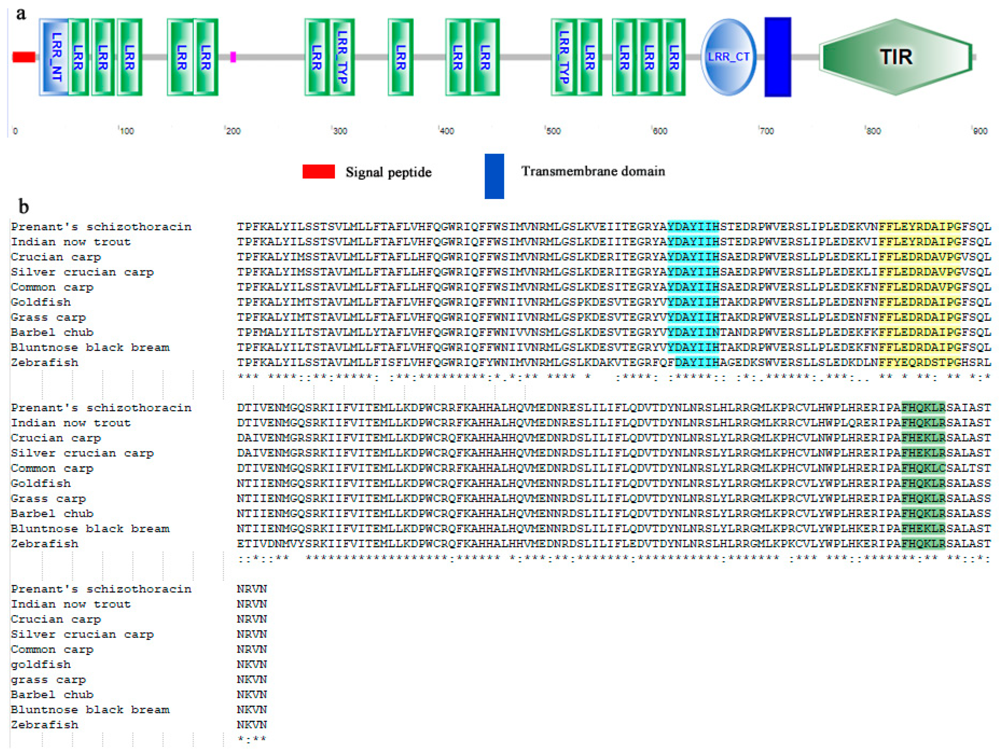 Genes 13 01862 g002