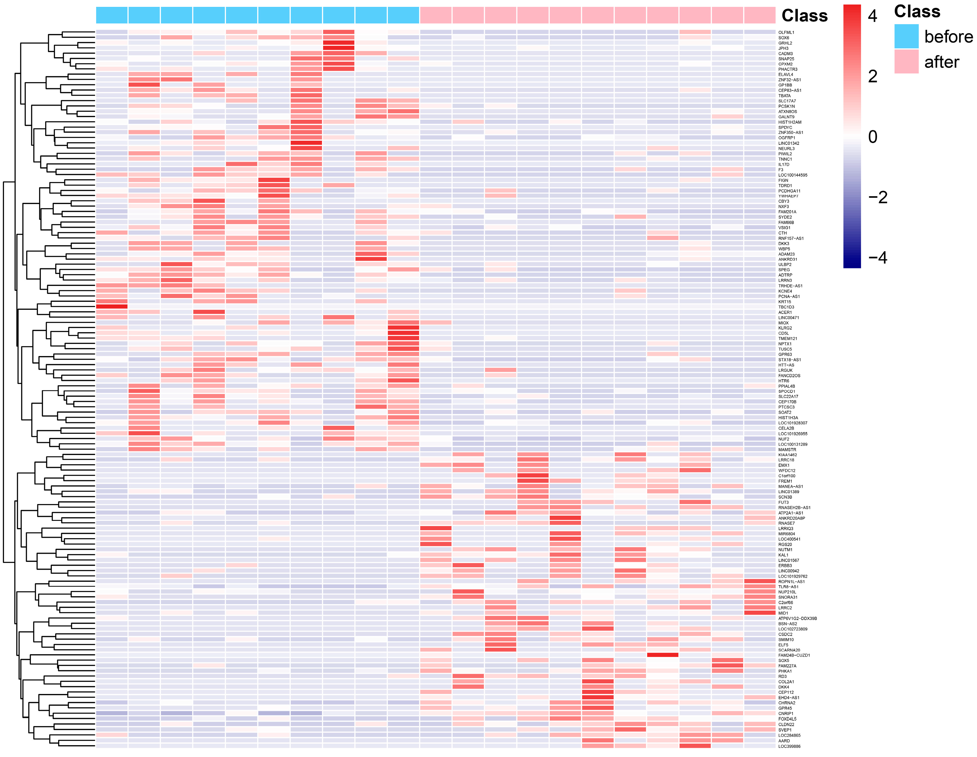 Genes 13 01863 g001